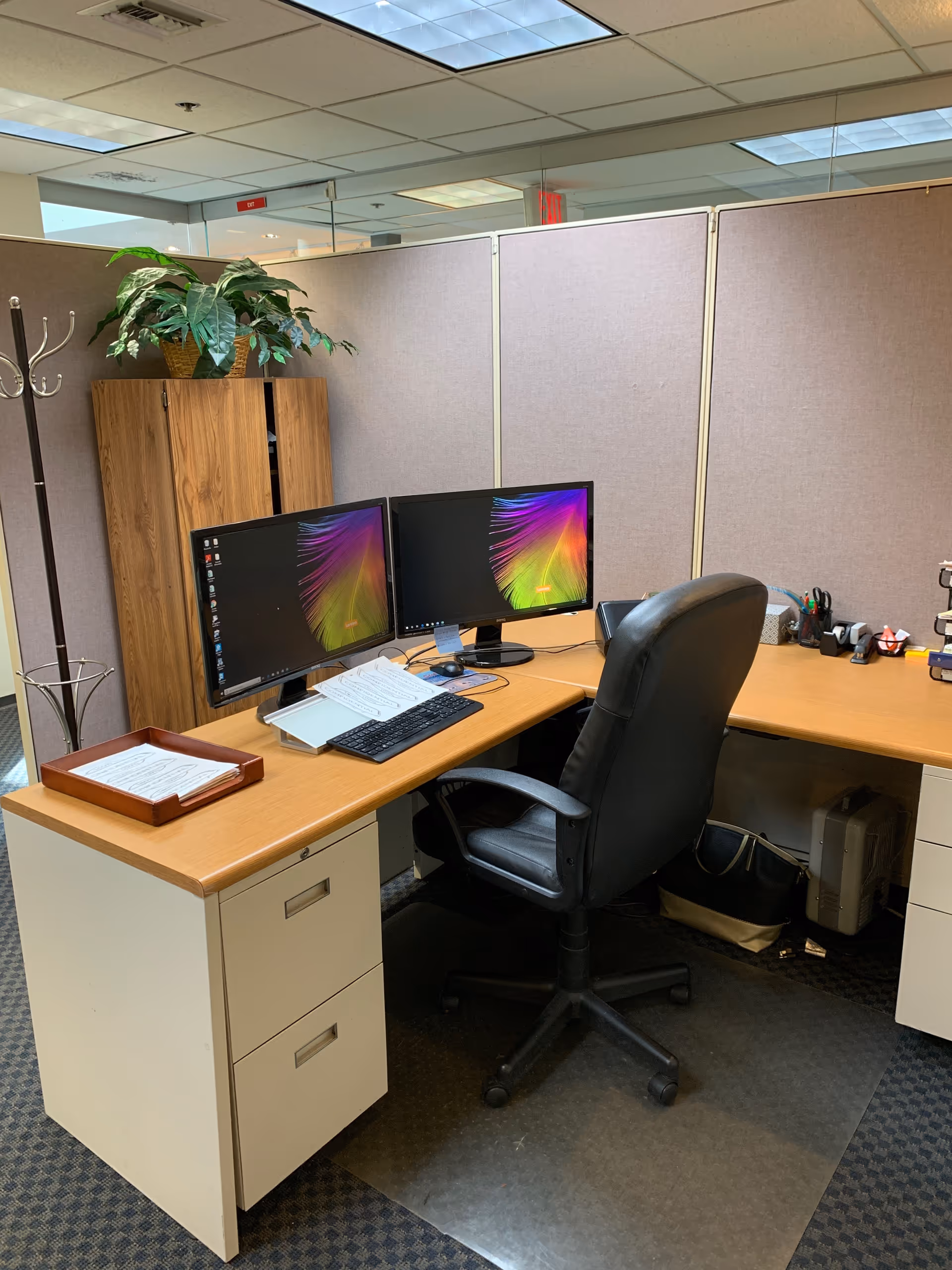 Office cubicle with dual monitors, keyboard, chair, and a plant.