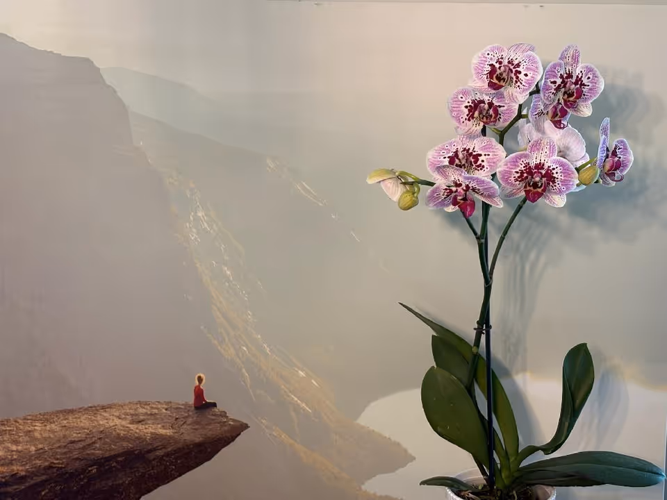 Indoor space featuring a mountain mural beside a tall blooming orchid plant.