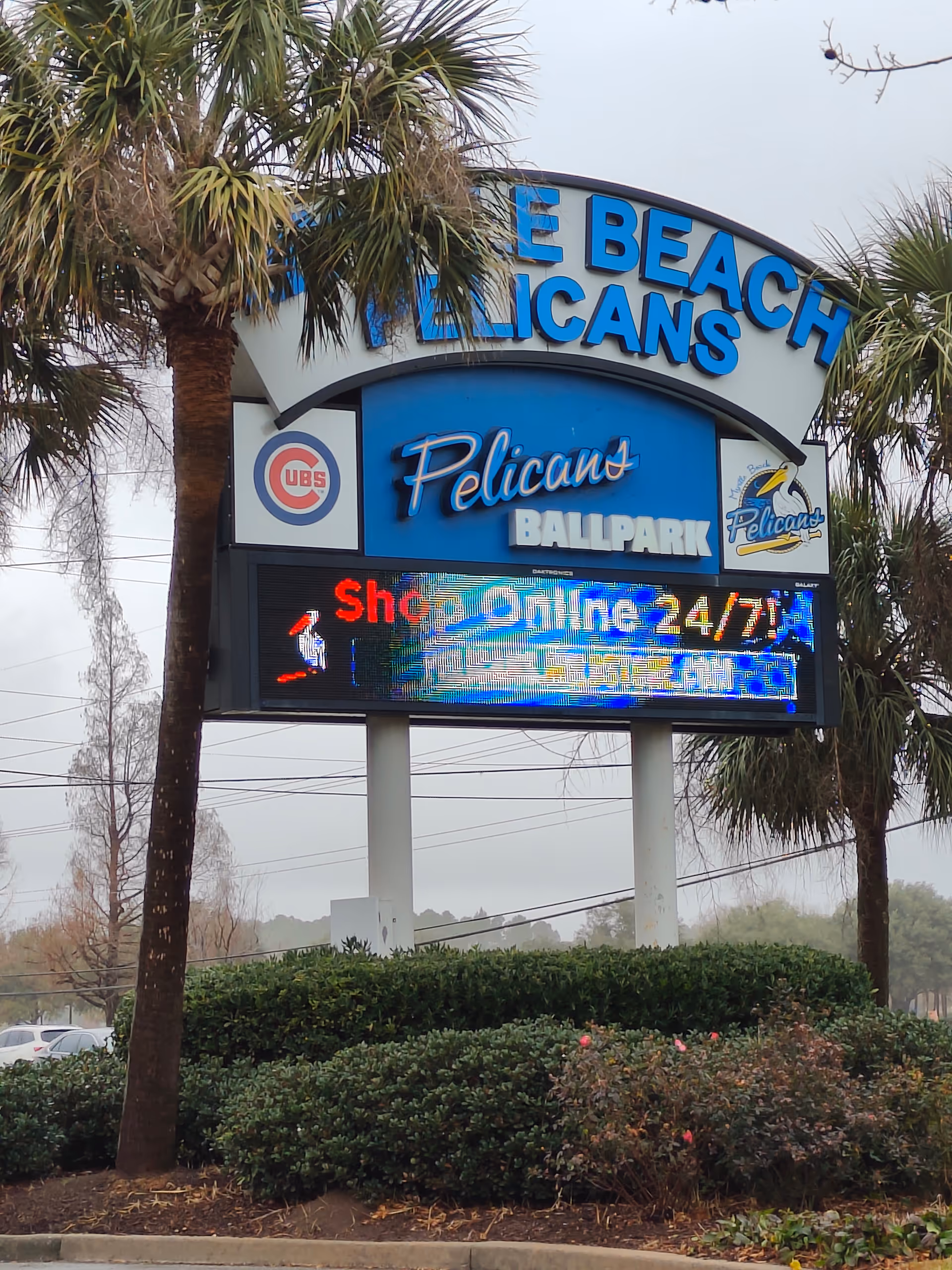 Exterior sign for Pelican Ballpark with palm trees and shrubbery in front.