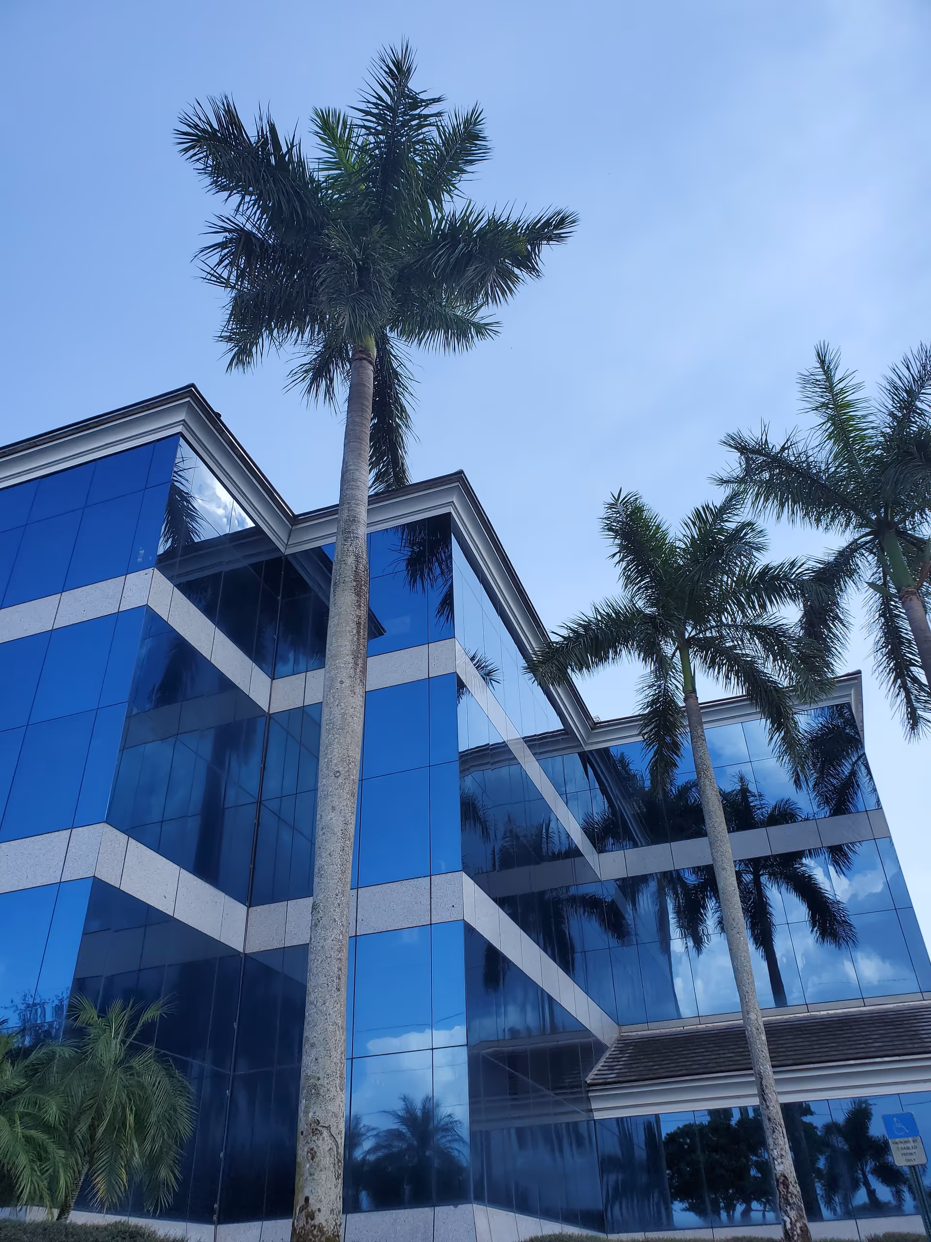 Blue glass building exterior with tall palm trees against a clear sky.