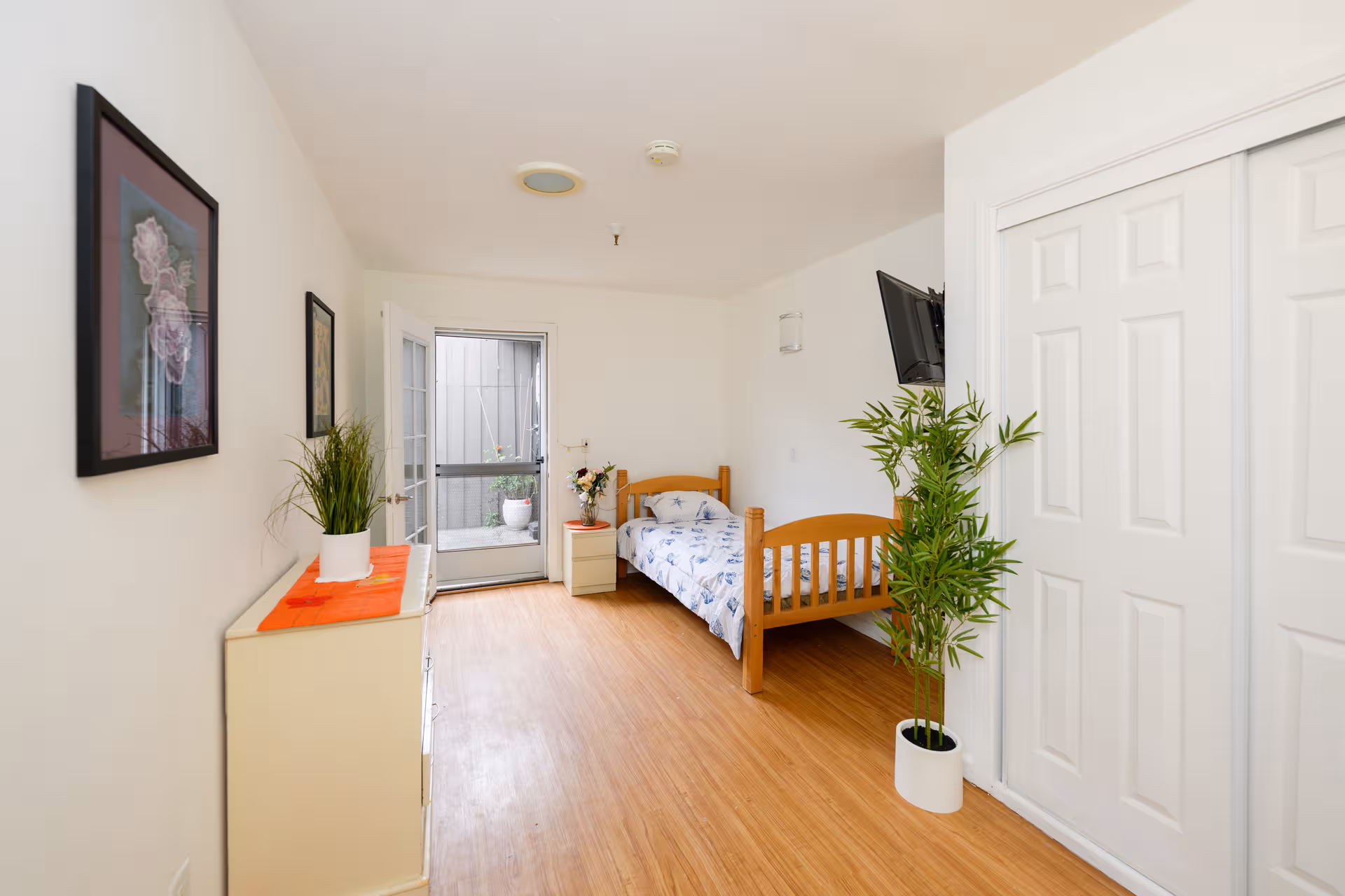 Bright bedroom with a wooden single bed, dresser, potted plants, and a wall-mounted TV.