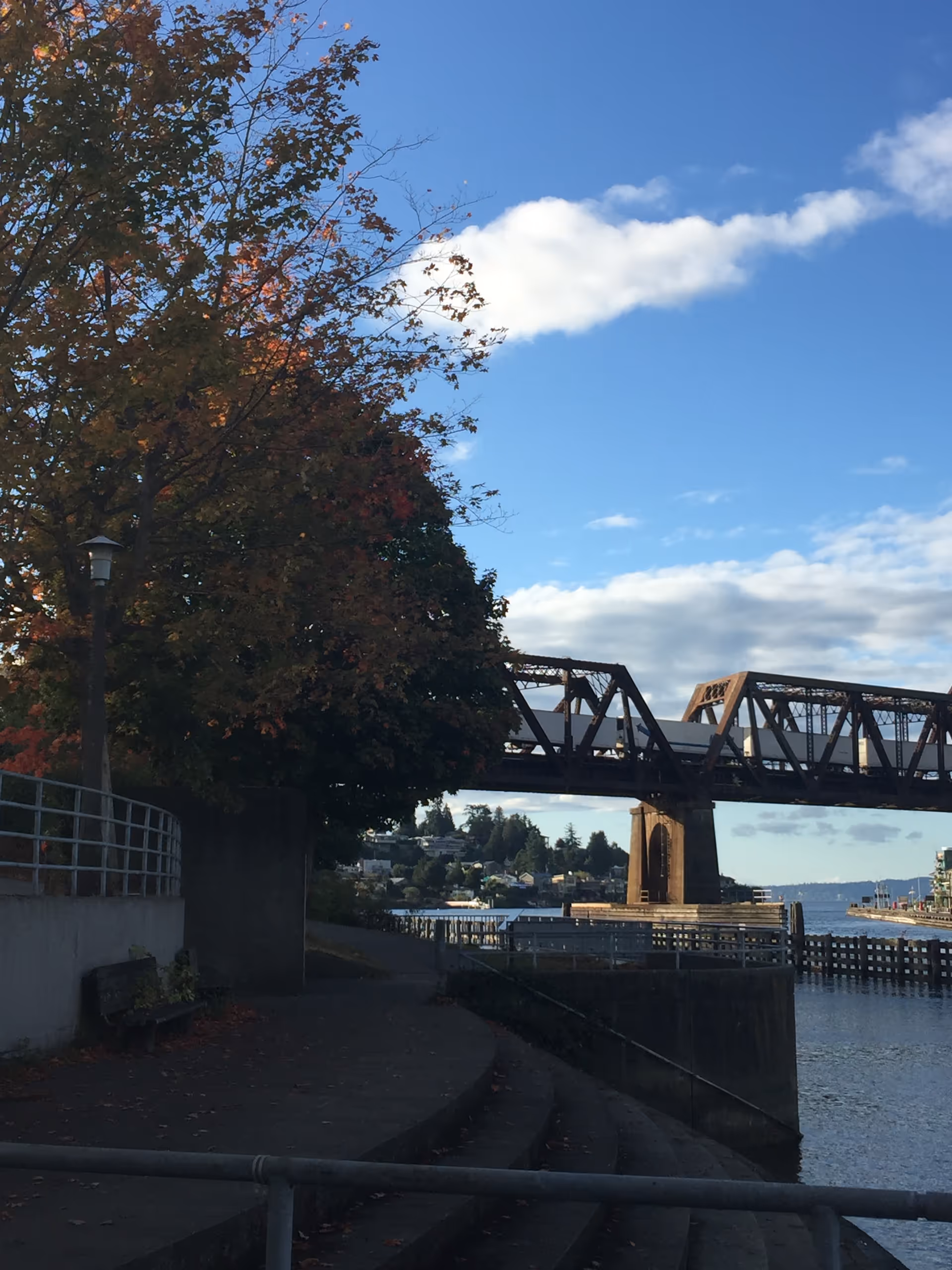 Riverside walkway with trees, railing, and a large steel bridge over calm water.