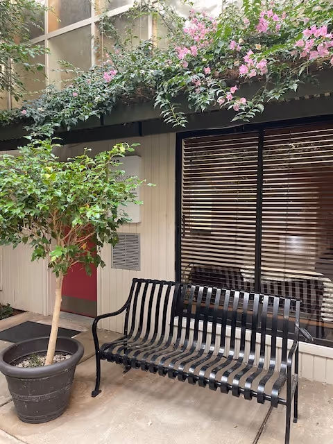 Outdoor patio area with a metal bench, potted tree, and flowering vines.