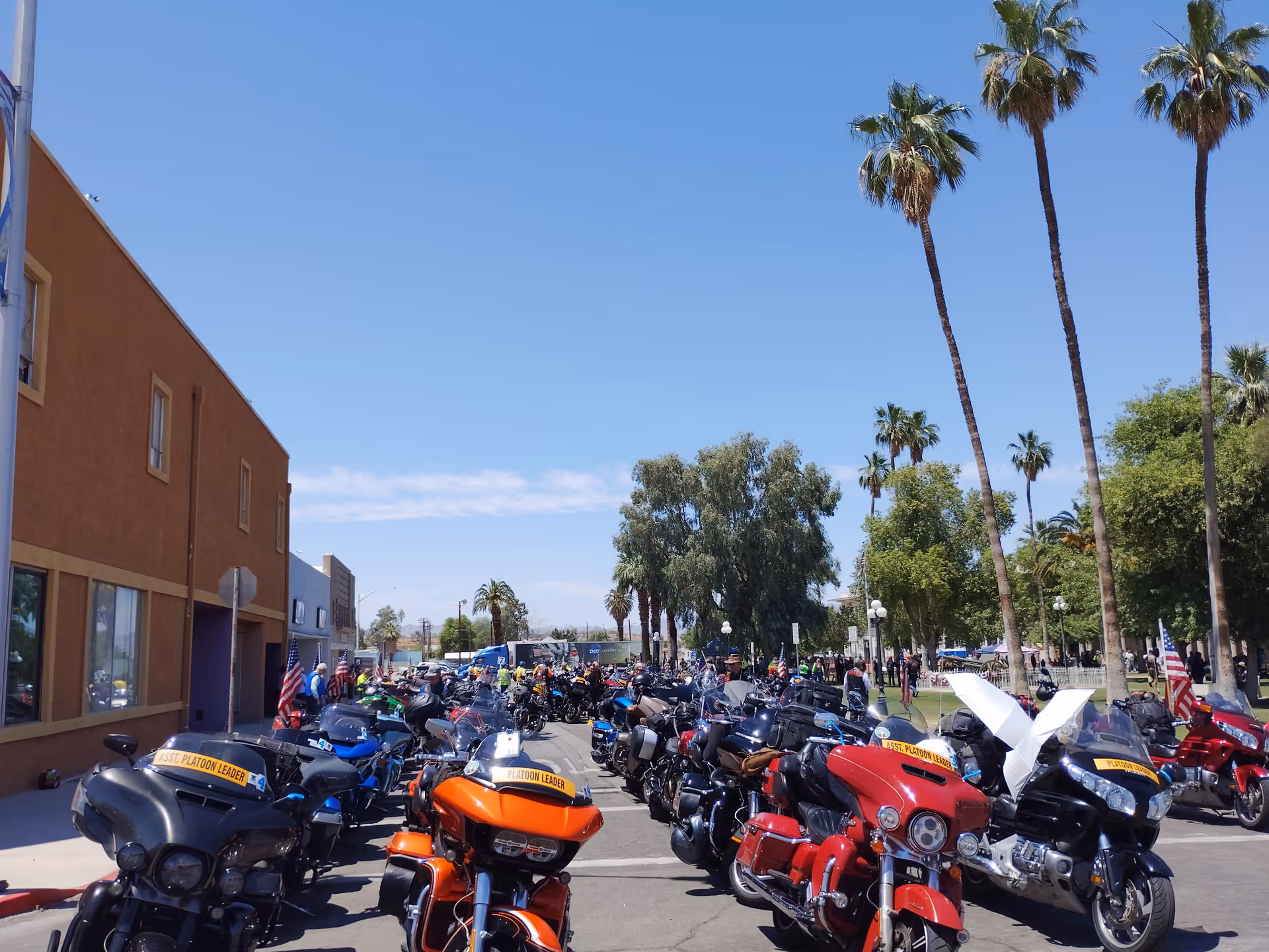 Row of motorcycles parked along a street in front of a tan building under palm trees.