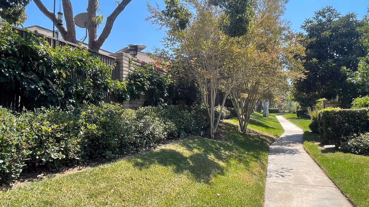 Paved sidewalk through landscaped grounds with grass, shrubs, and trees under a clear blue sky.