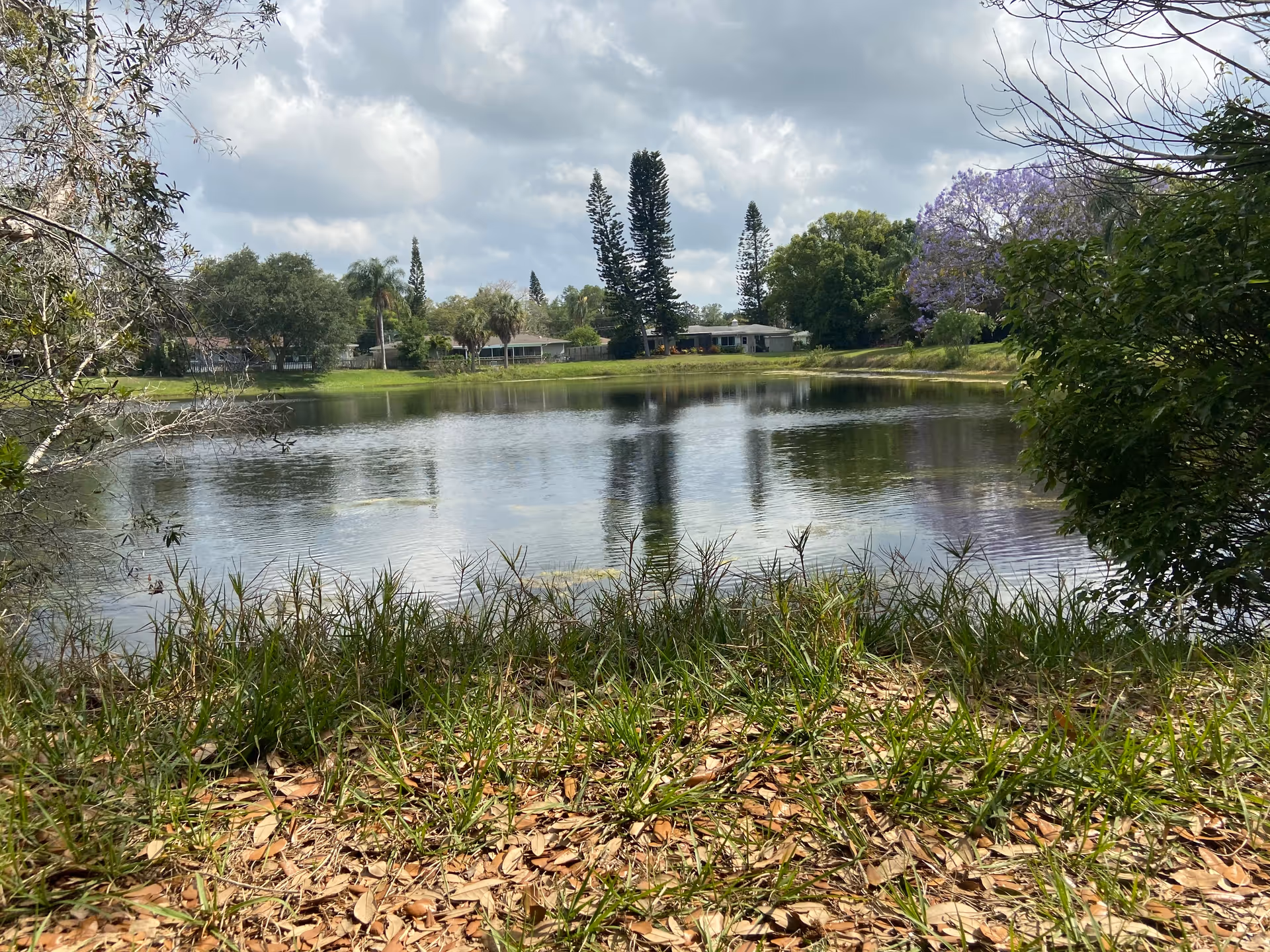 Quiet lake scene with grassy foreground and distant facility buildings.