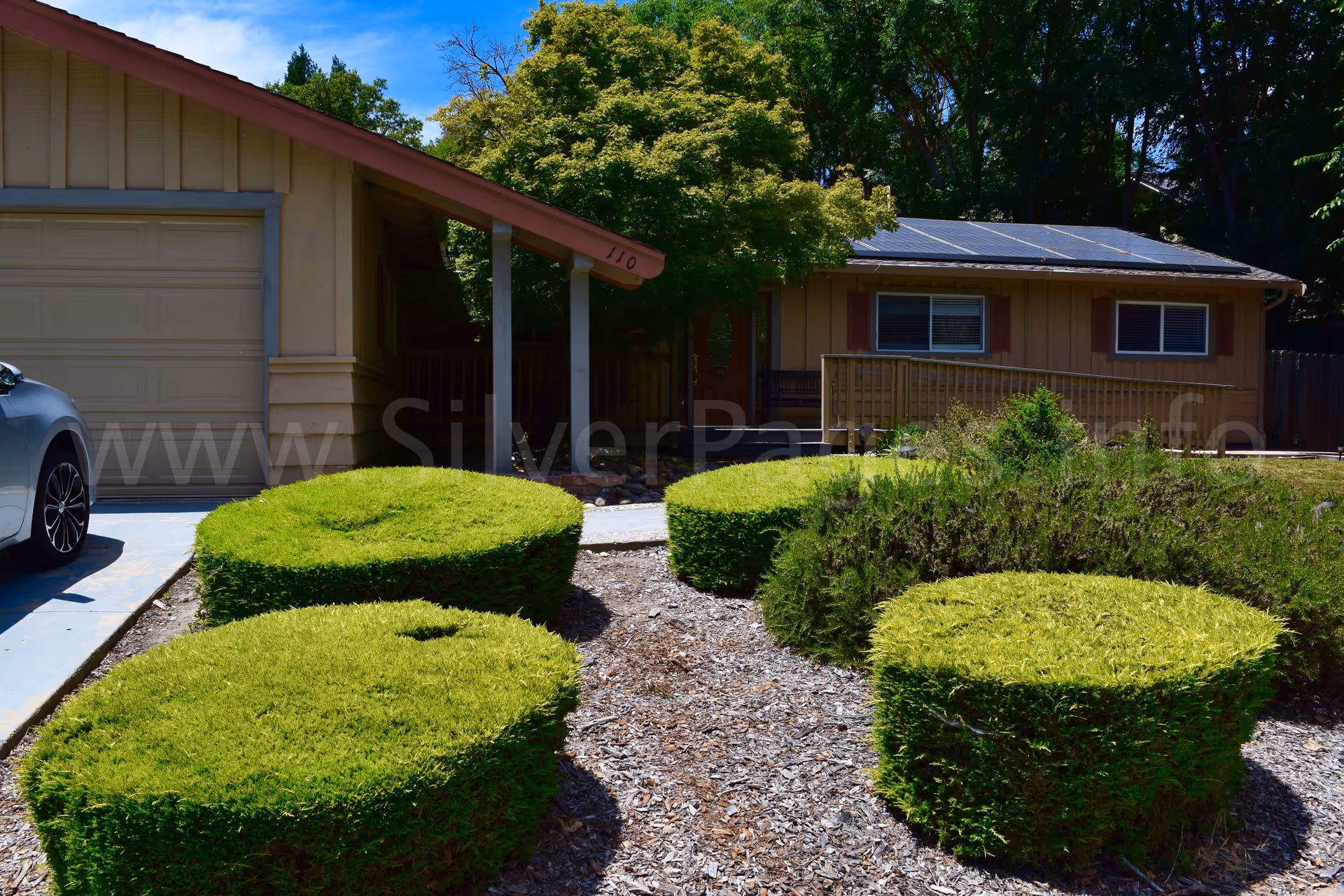 Front exterior of a single-story residence with round topiary shrubs and driveway.