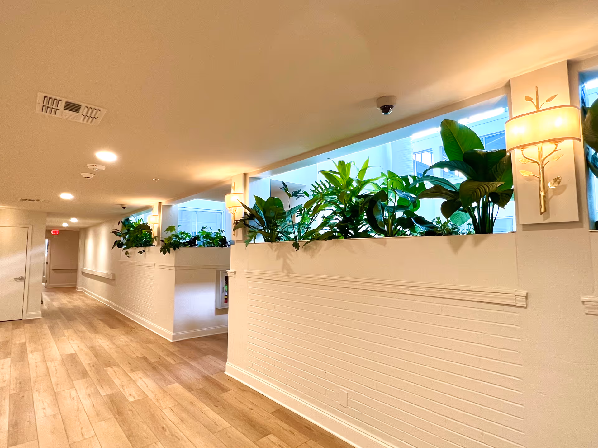 Bright hallway in a senior living facility with white walls and planters along the wall.