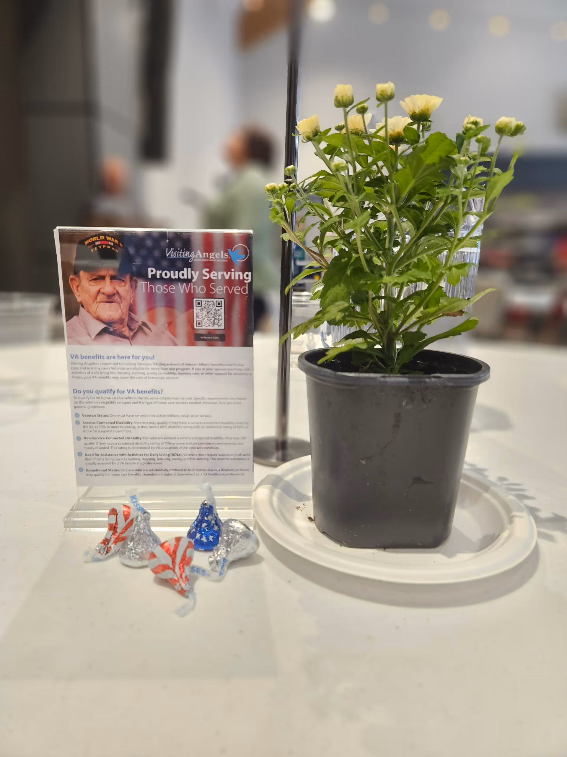 Potted plant beside a flyer on a countertop inside Visiting Angels in Battle Creek.