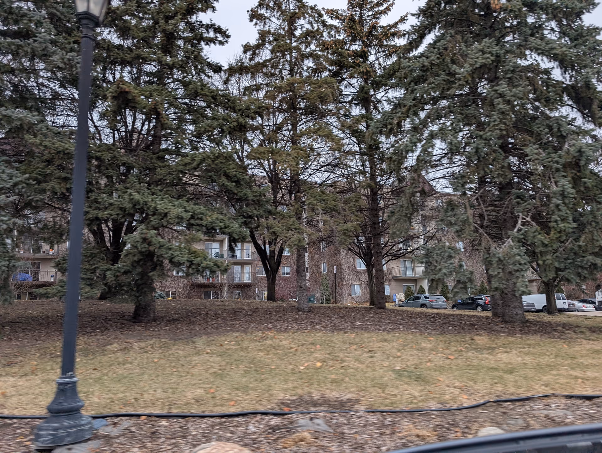 Multi-story residential building partially obscured by tall evergreen trees, with a grassy lawn, lamp post, and parked cars in front.