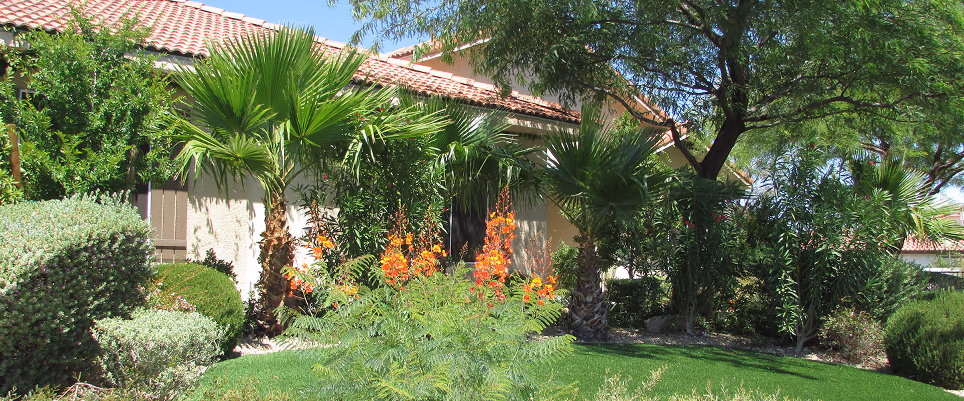 Front view of Nevada Memory Care building with lush shrubs and palm trees
