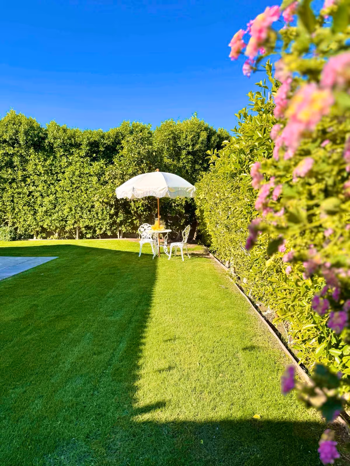 A well-maintained outdoor garden area with lush green grass, a white patio table with two chairs, and a white umbrella providing shade. The garden is bordered by tall green hedges and some pink flowers are visible on the right side of the image under a clear blue sky.