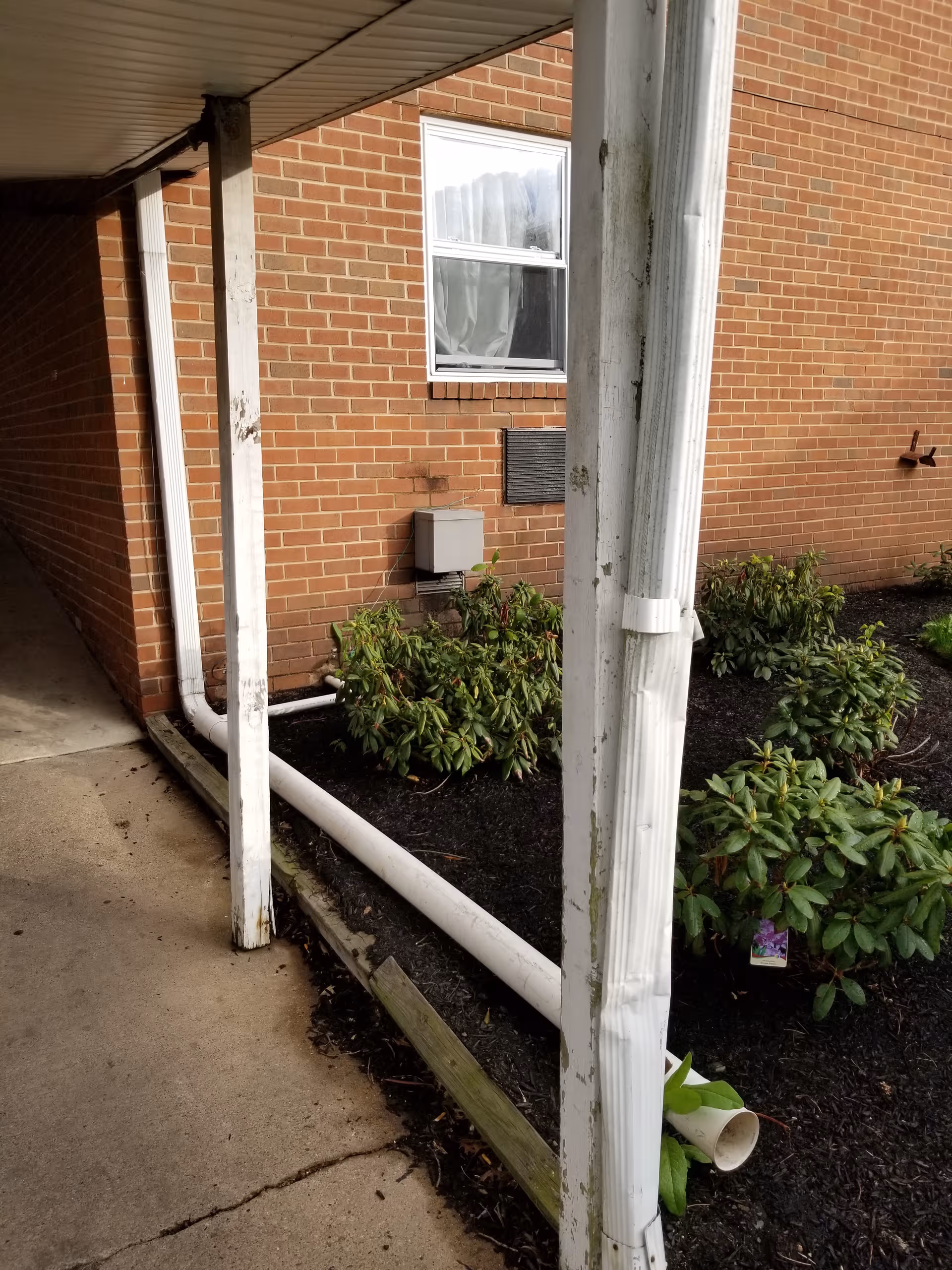 Brick facility exterior with white downspouts, a window, and shrubs along walkway.