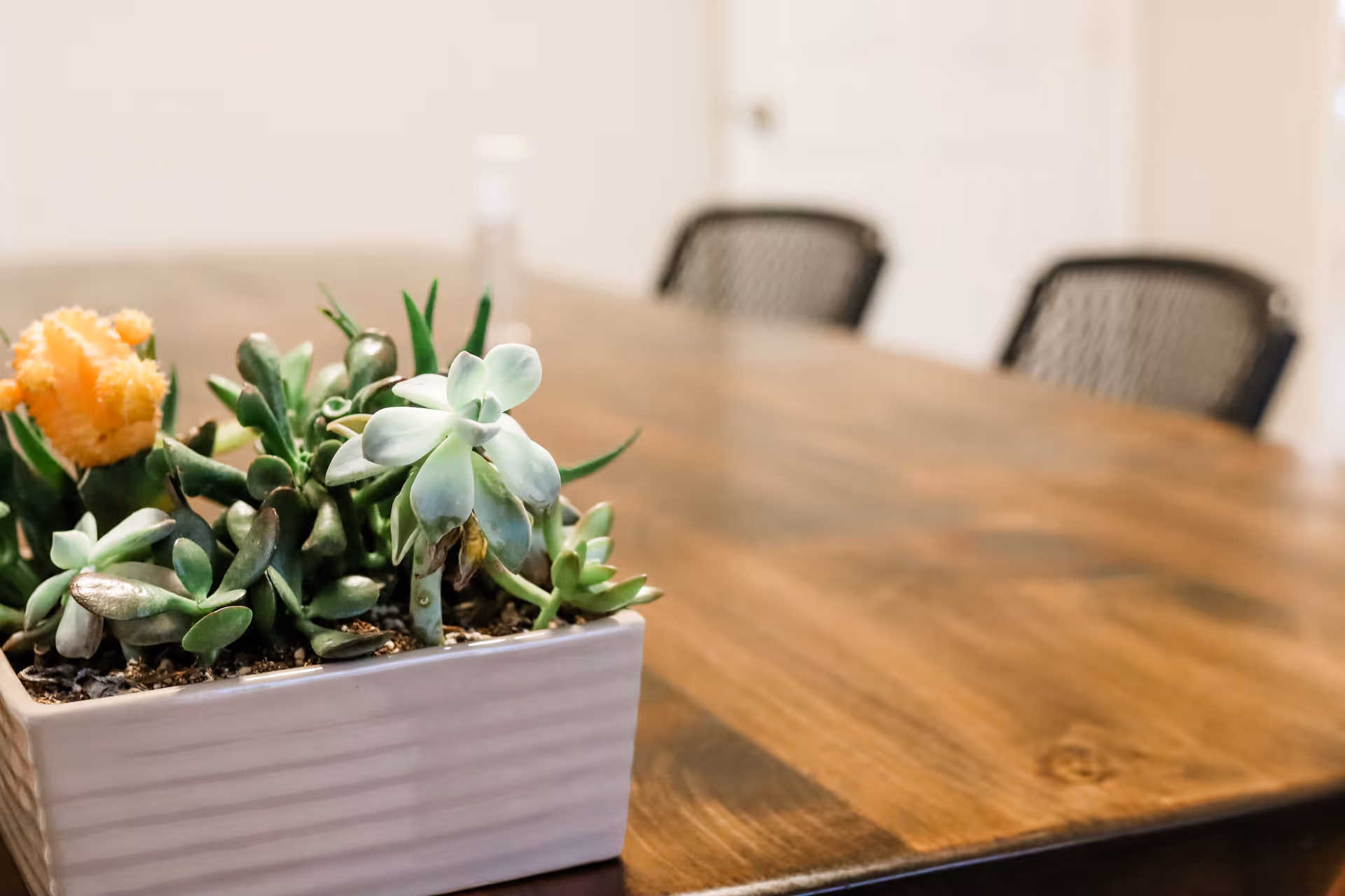 Succulent centerpiece on a wooden table with out-of-focus chairs in the background.