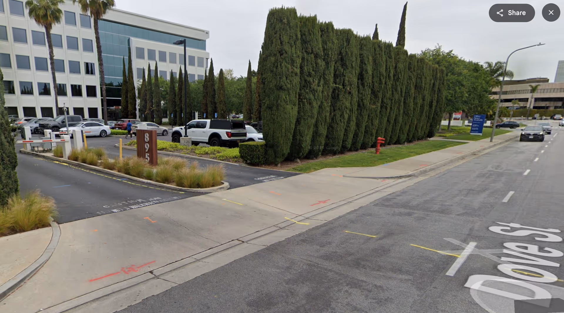 Exterior view of a modern building with parking and a line of tall evergreen trees.