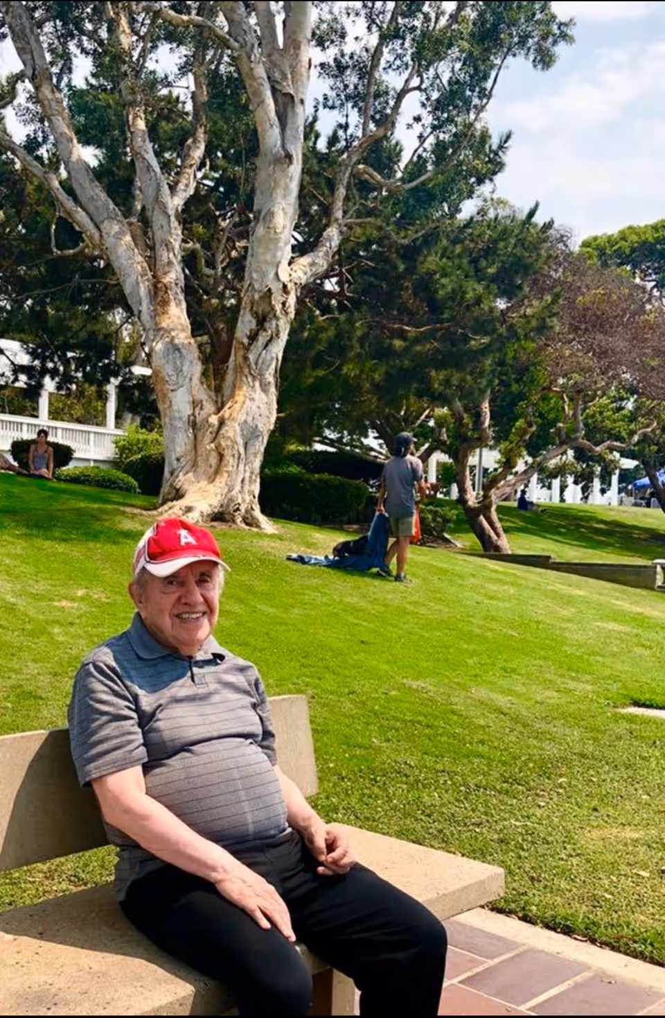 Elderly man sits on a bench in a sunny outdoor lawn area.