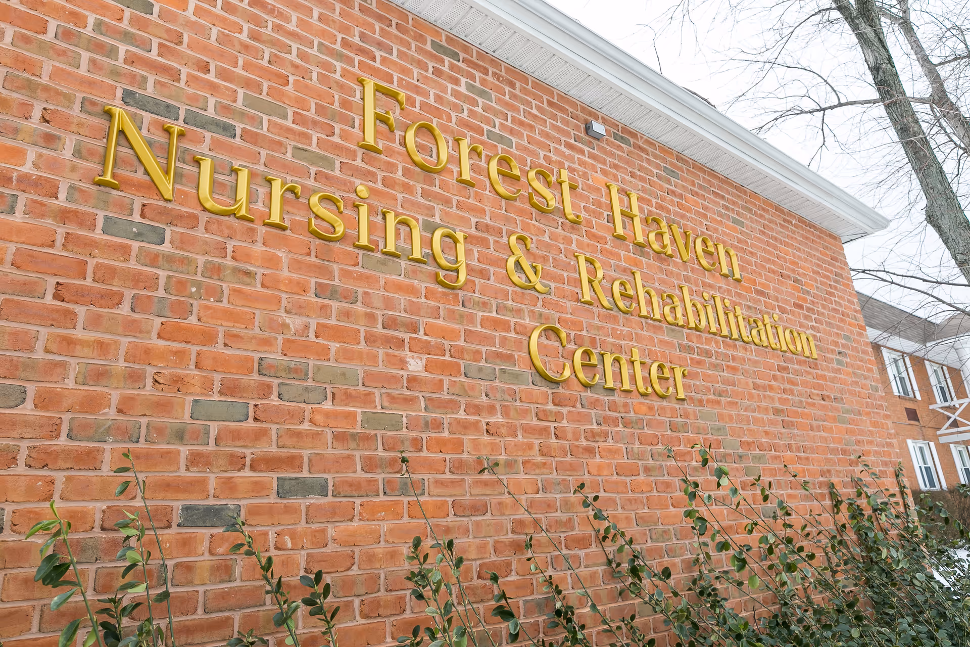 Brick exterior wall with gold sign reading Forest Haven Nursing & Rehabilitation Center.