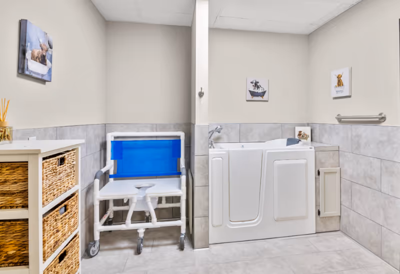 Accessible bathroom with a blue wheeled shower chair, a walker, and a walk-in tub.
