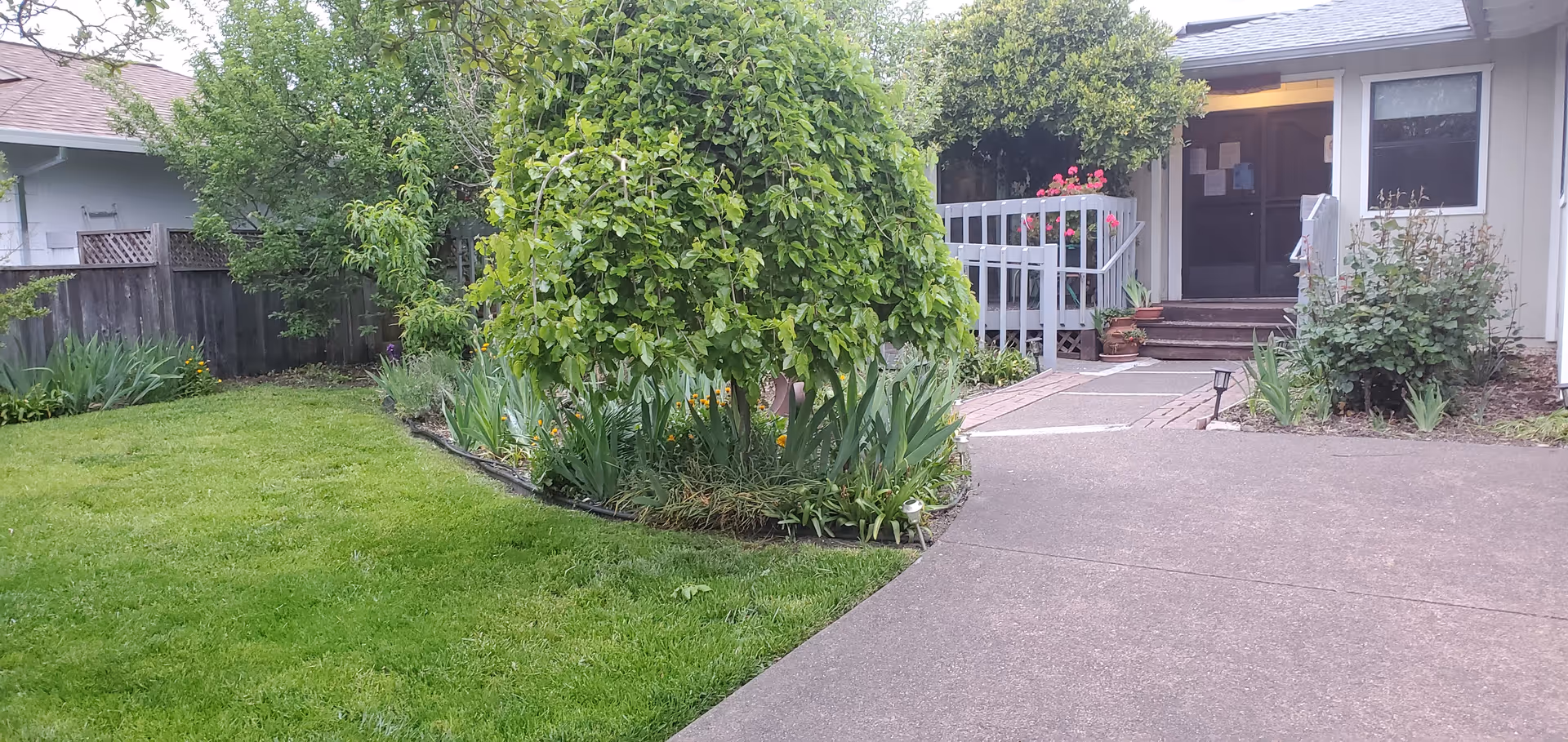 Front entrance of Adom Manor Care Home with a paved walkway and landscaped garden.