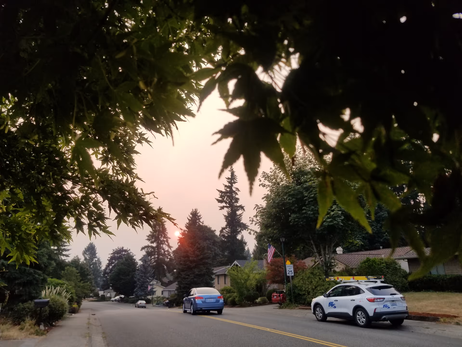 Suburban street scene framed by trees, with parked cars and a distant American flag.