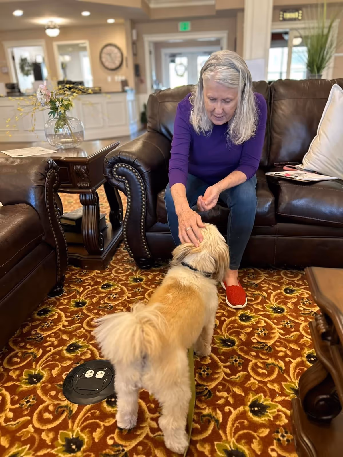 An elderly woman with gray hair wearing a purple top and red slippers is sitting on a dark brown leather couch, petting a small fluffy dog with light brown and white fur in a cozy living room with patterned carpet and wooden furniture.