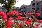 Exterior view of Peter Becker Community building with pink roses in the foreground.