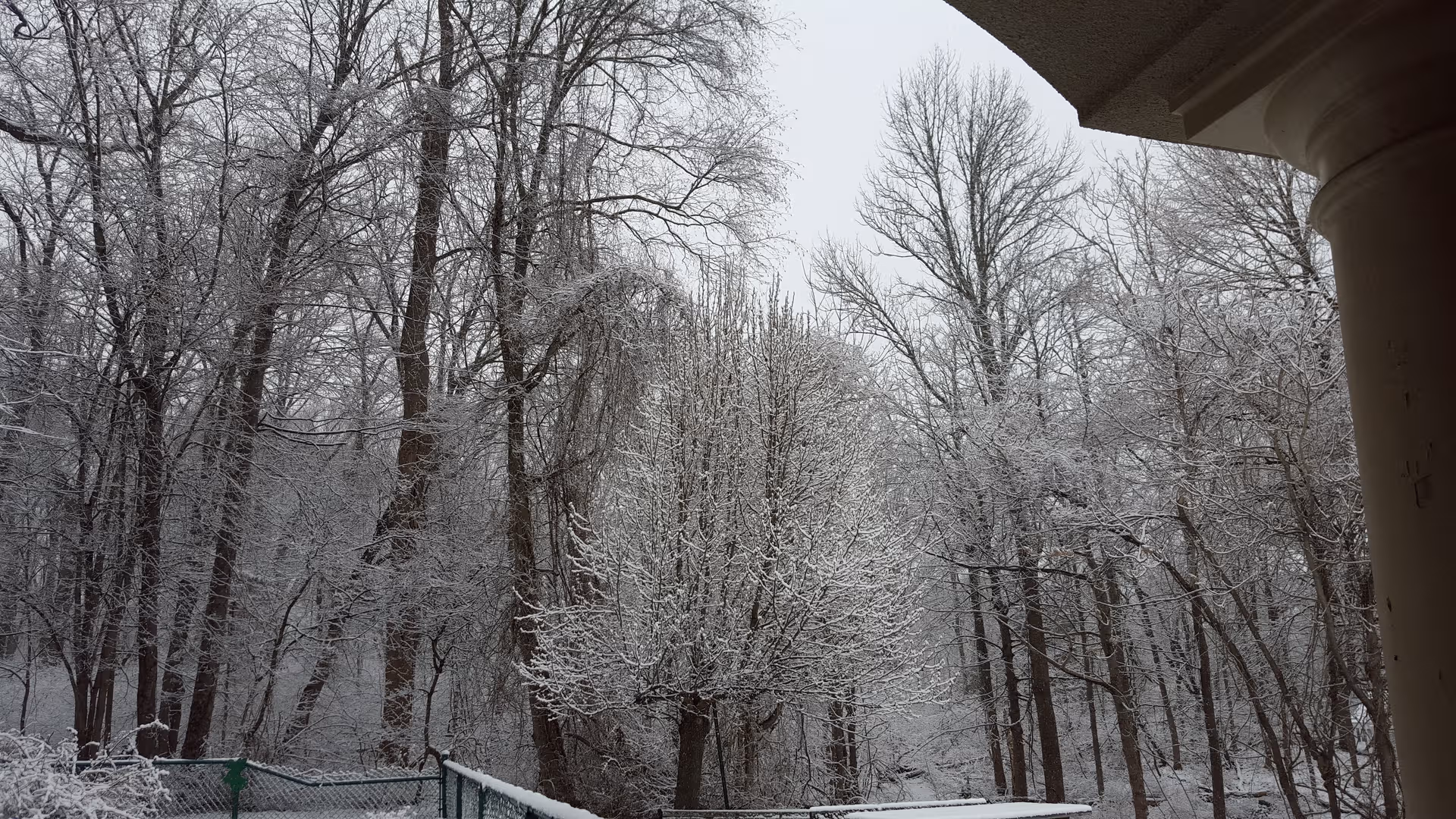 Snowy trees surround a building exterior, with a column visible on the right.