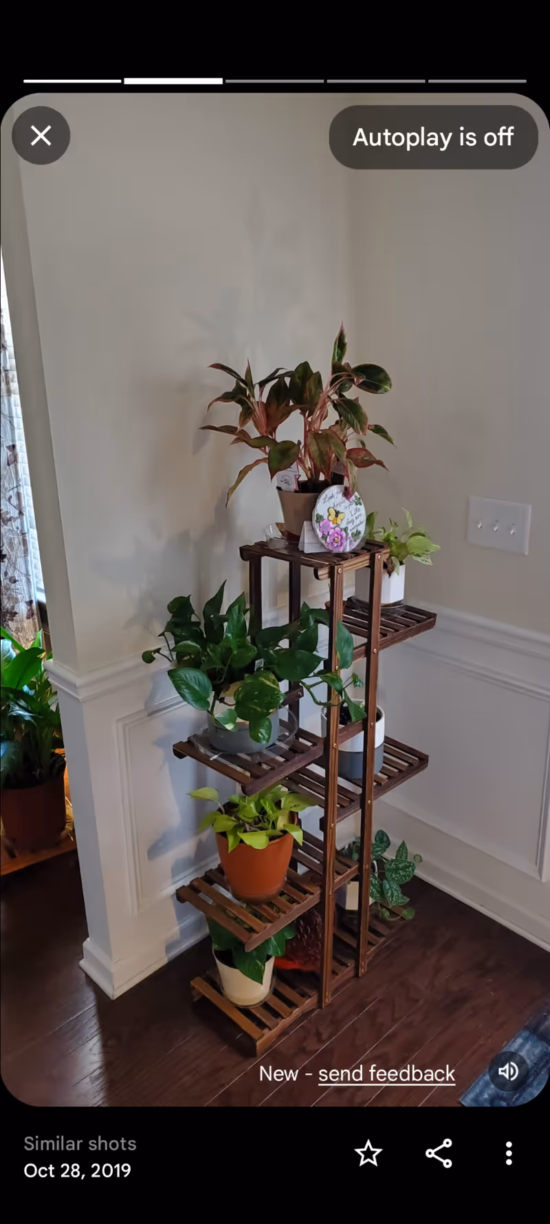 Indoor corner with tiered wooden plant stand and several potted plants.