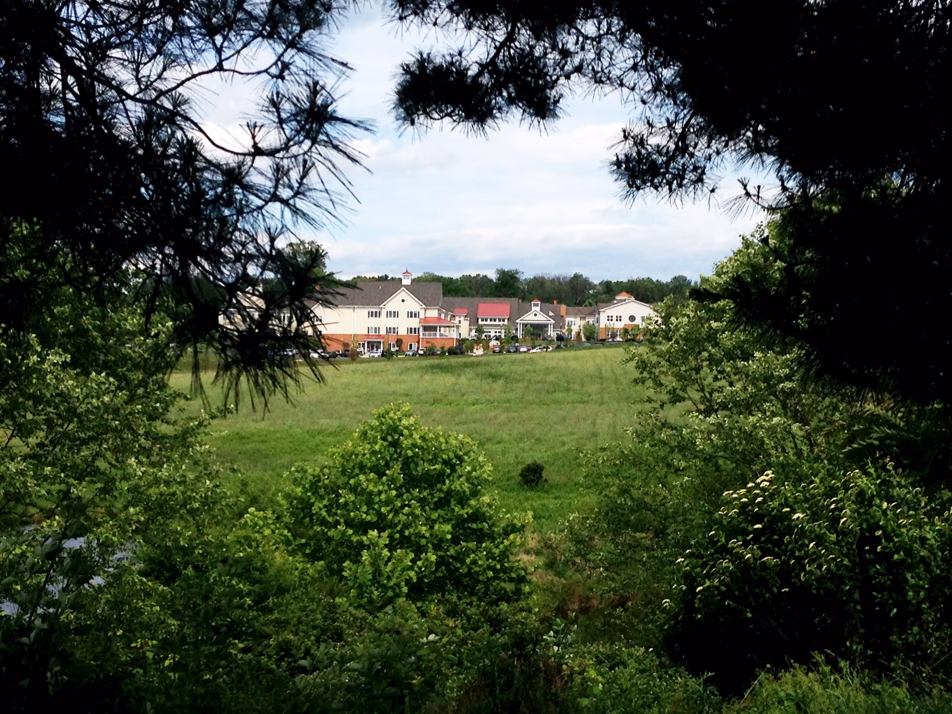 View of Brooke Grove Rehabilitation and Nursing Center building in the distance, seen through a frame of dense green trees and foliage with a large grassy field in the foreground under a partly cloudy sky.