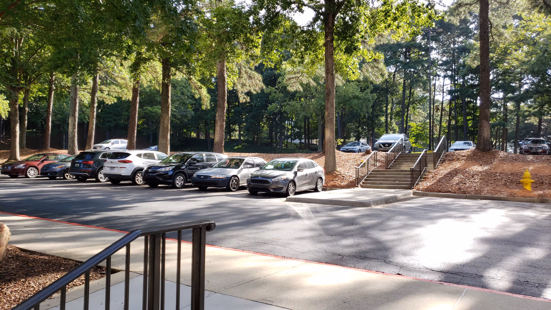 Parking lot with several cars, tall trees, and a stairway leading to a building entrance.