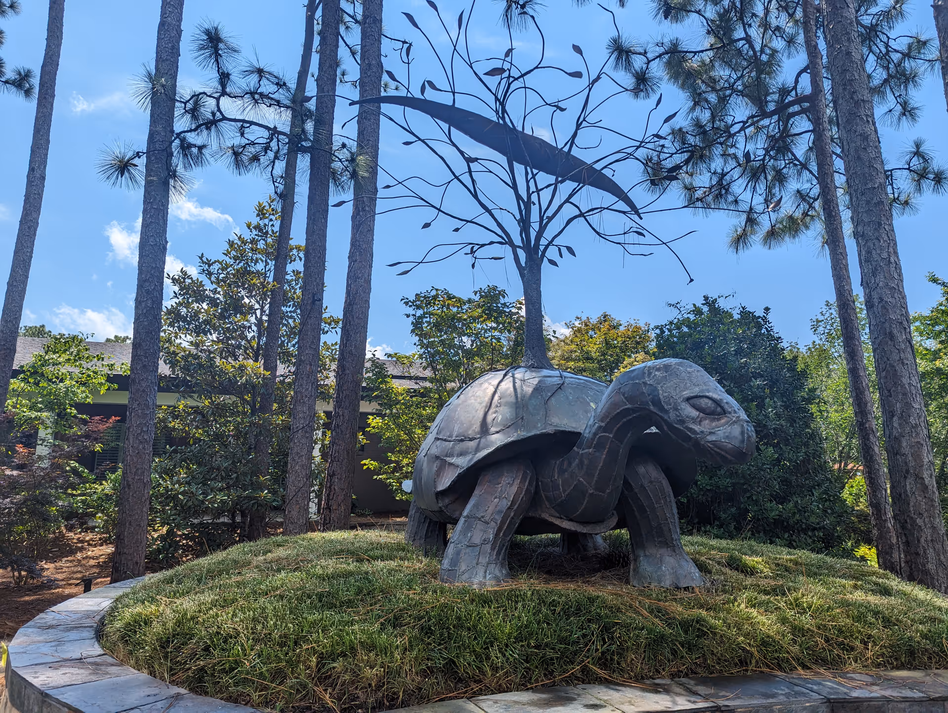 Outdoor sculpture of a large turtle on a grassy mound amid tall pines.