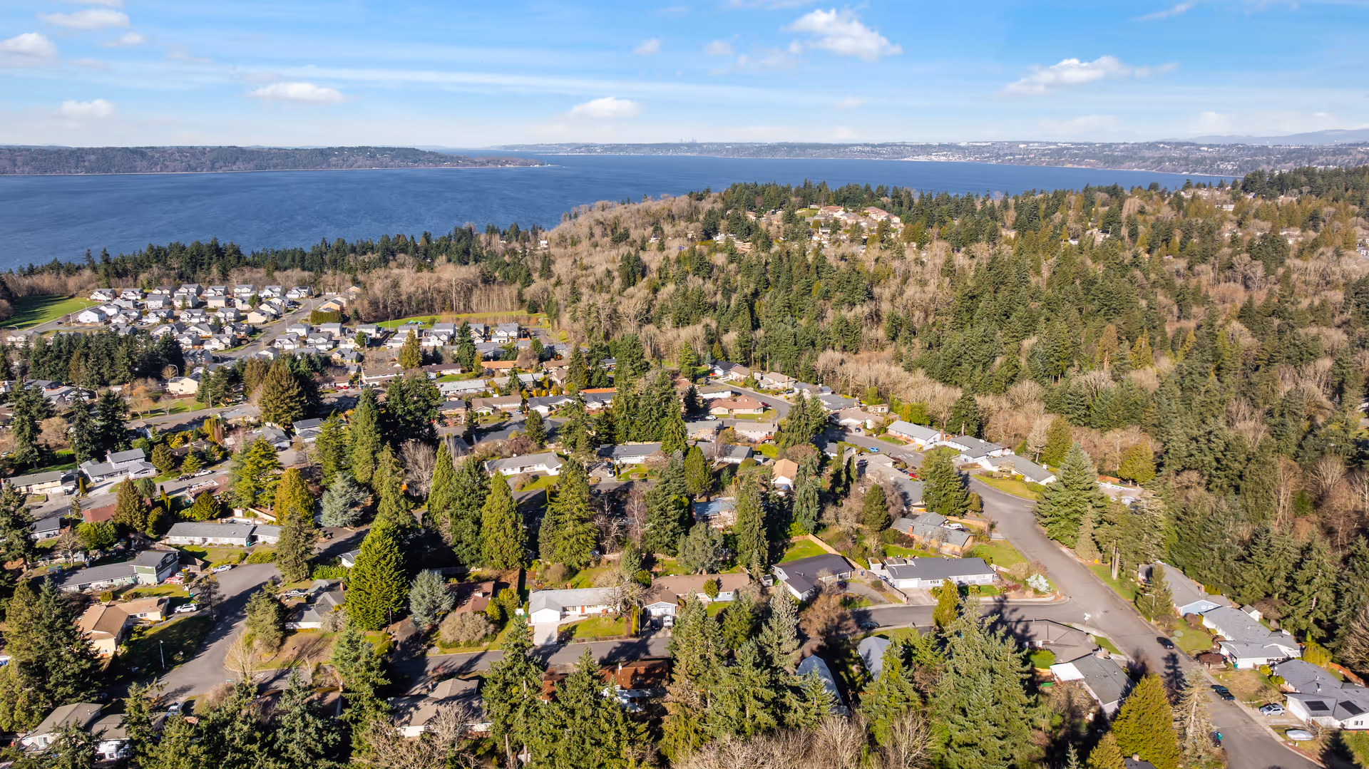 Aerial view of a forested lakeside neighborhood with winding streets and scattered homes
