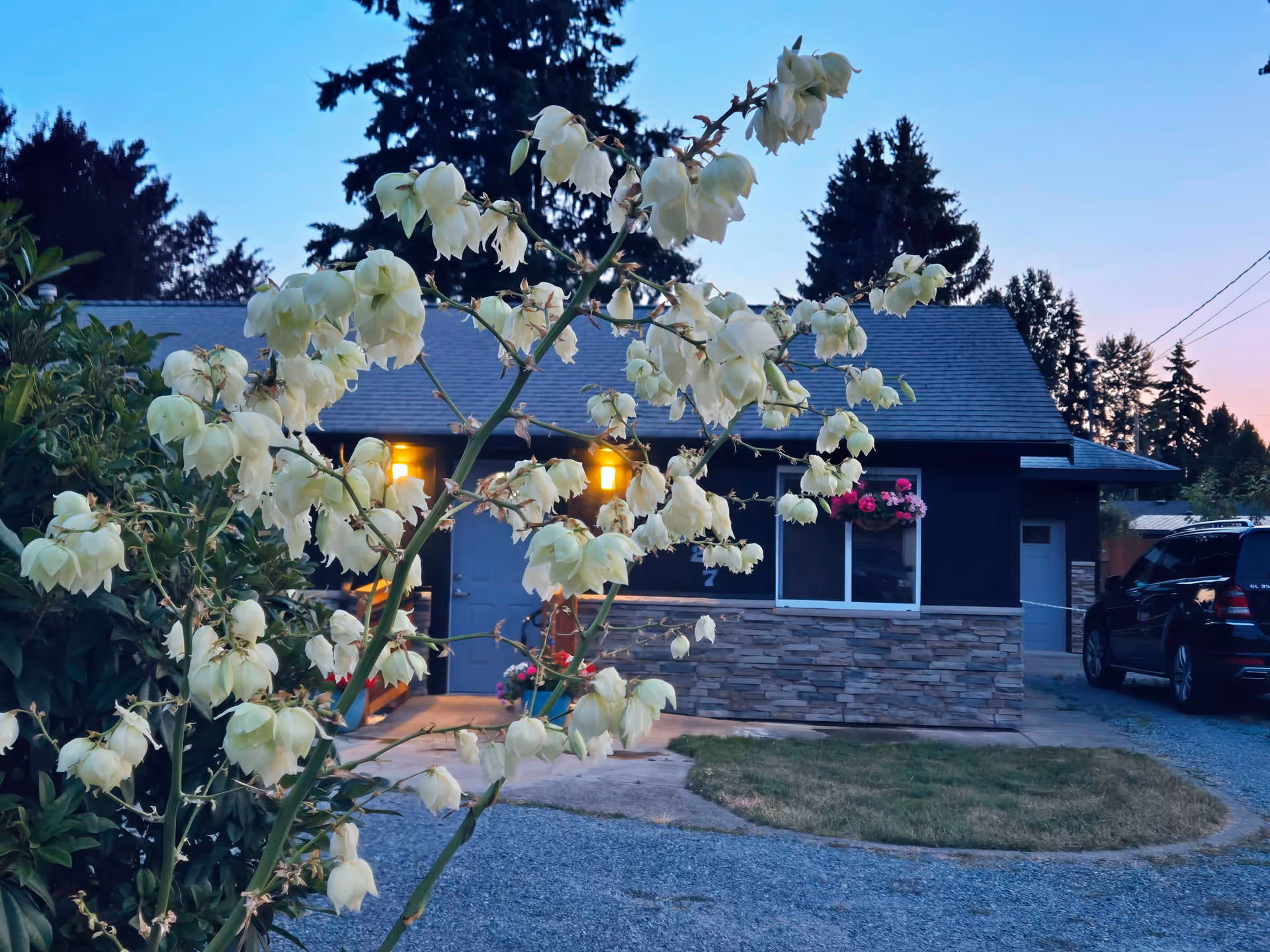 Front exterior view of a dark blue building with a stone facade and hanging flowers.
