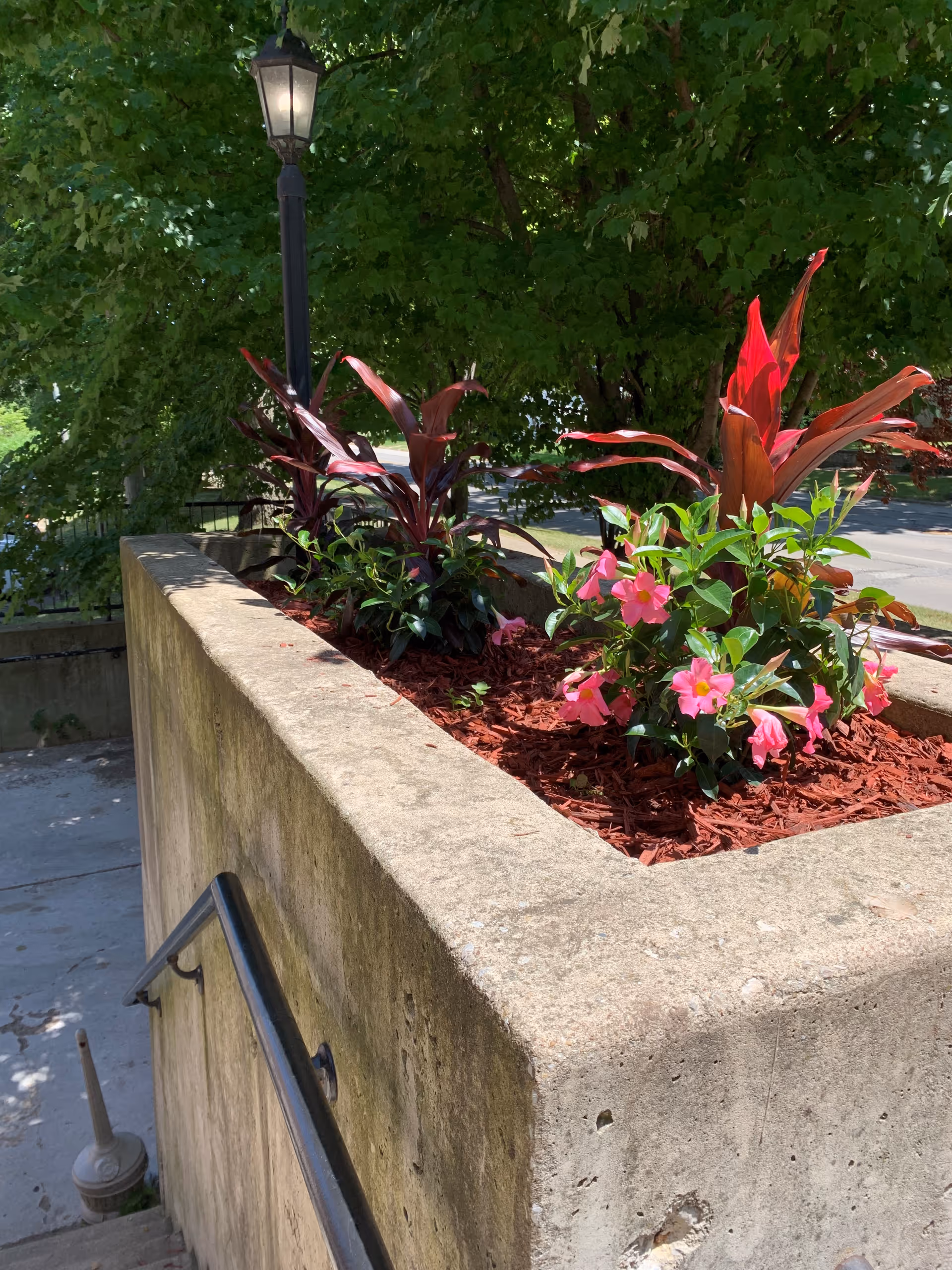 Concrete planter with pink flowers and red-leafed plants beside a lamp outdoors.
