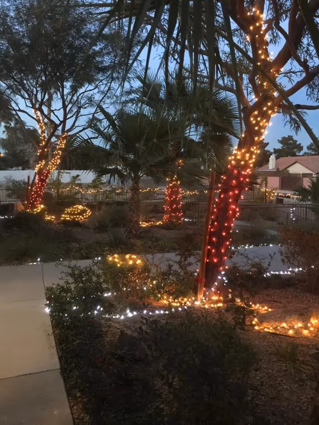 Outdoor courtyard with palm trees wrapped in colorful string lights at dusk.