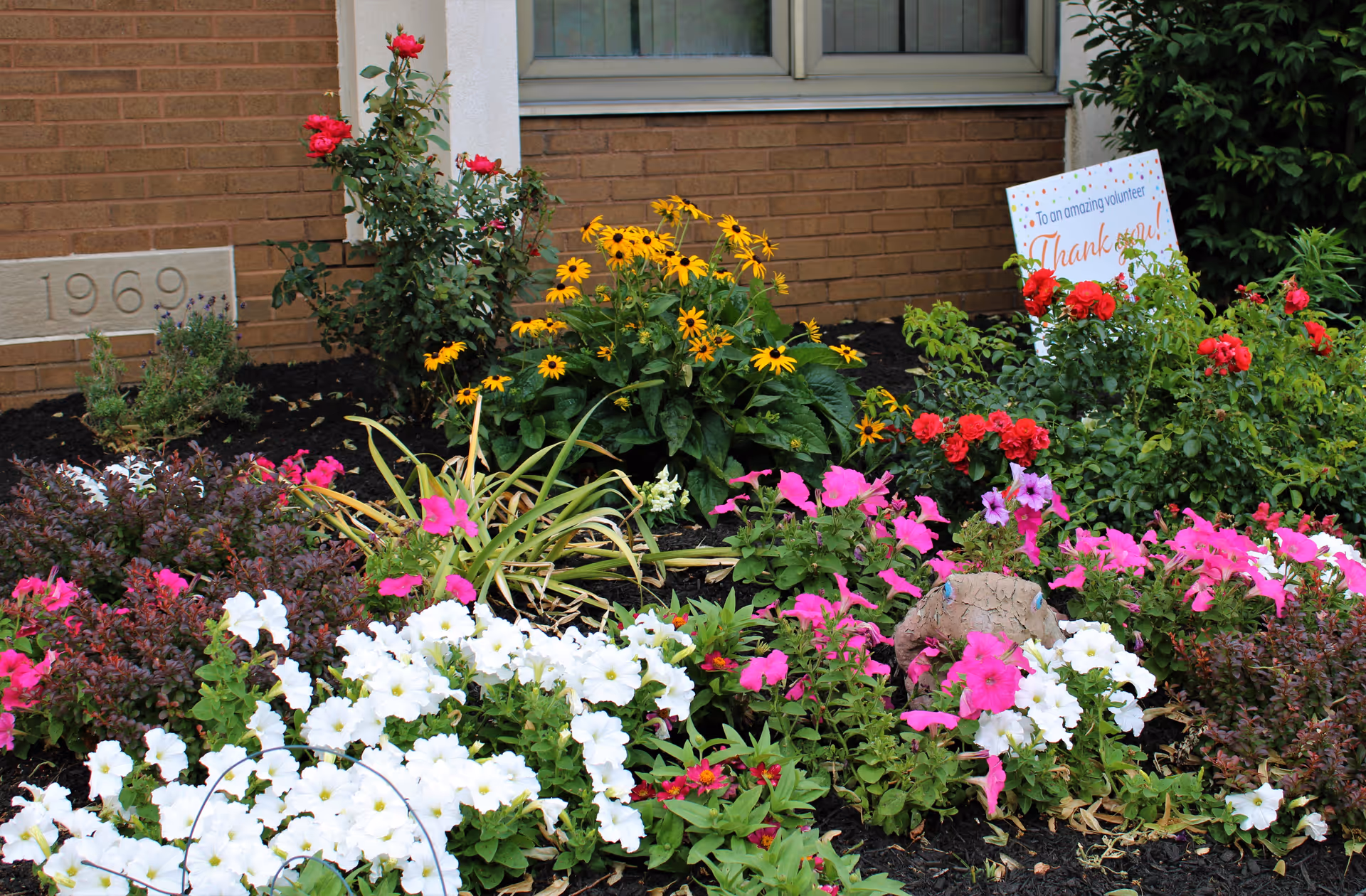 A colorful flower garden with white, pink, red, and yellow flowers in front of a brick building with a window. A small sign in the garden reads 'To an amazing volunteer, Thank you!'. The building has the year '1969' engraved on a stone near the garden.