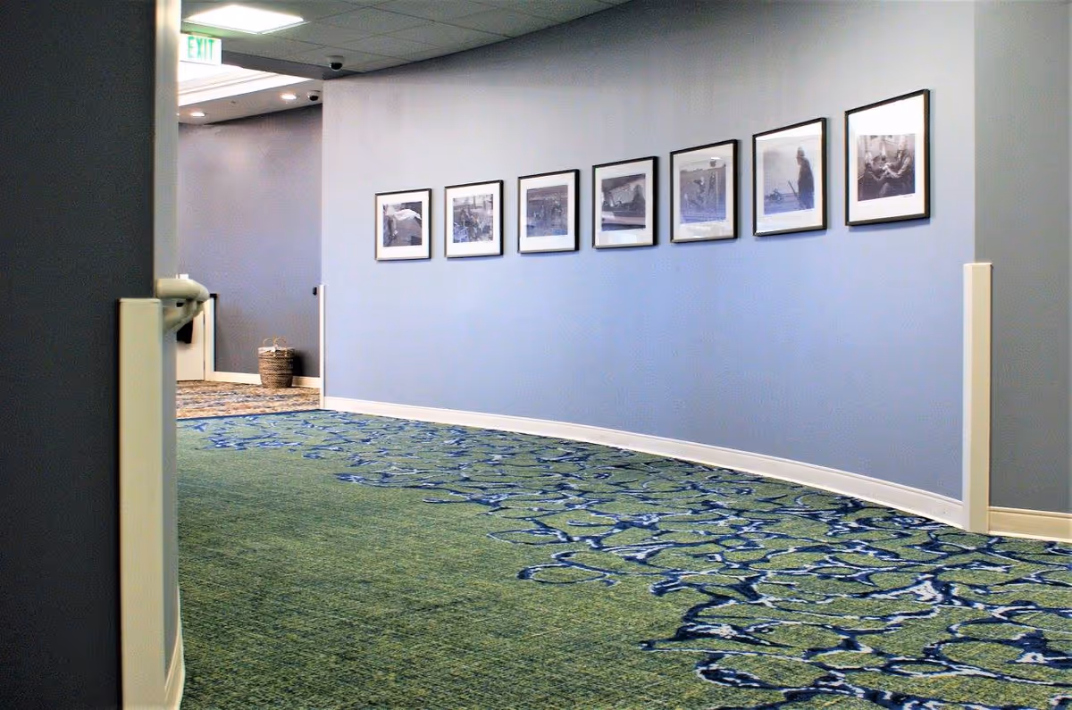 A blue-walled hallway with framed photos along the wall and patterned carpet.