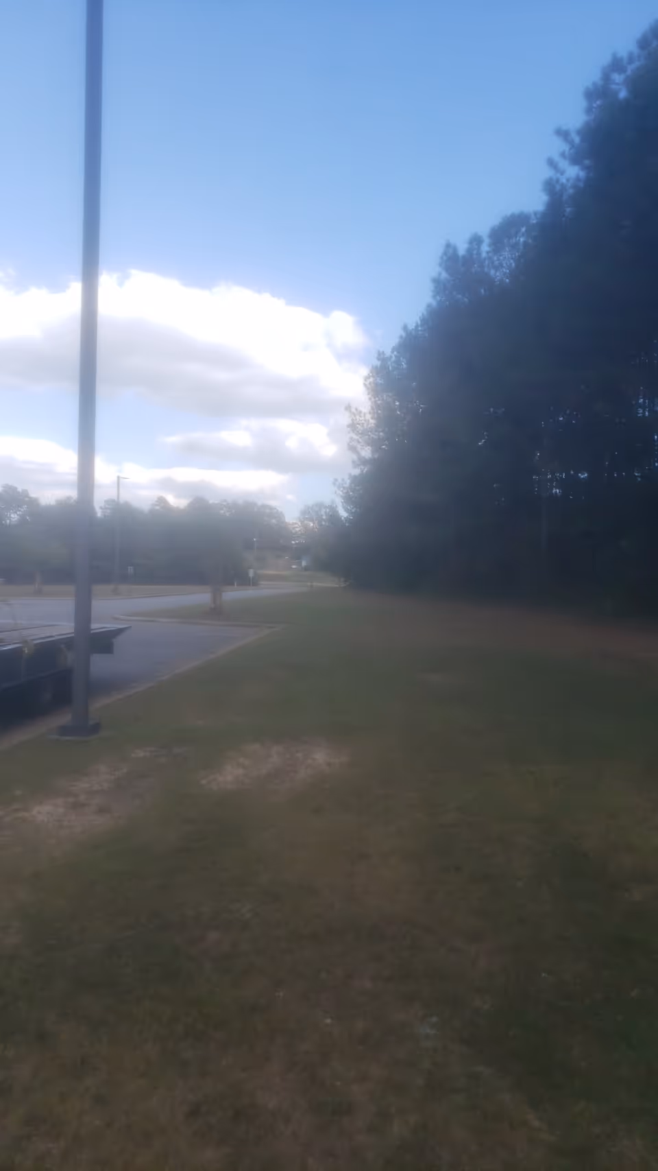 Grassy outdoor space beside the road with a sidewalk, lamp post, and trees.