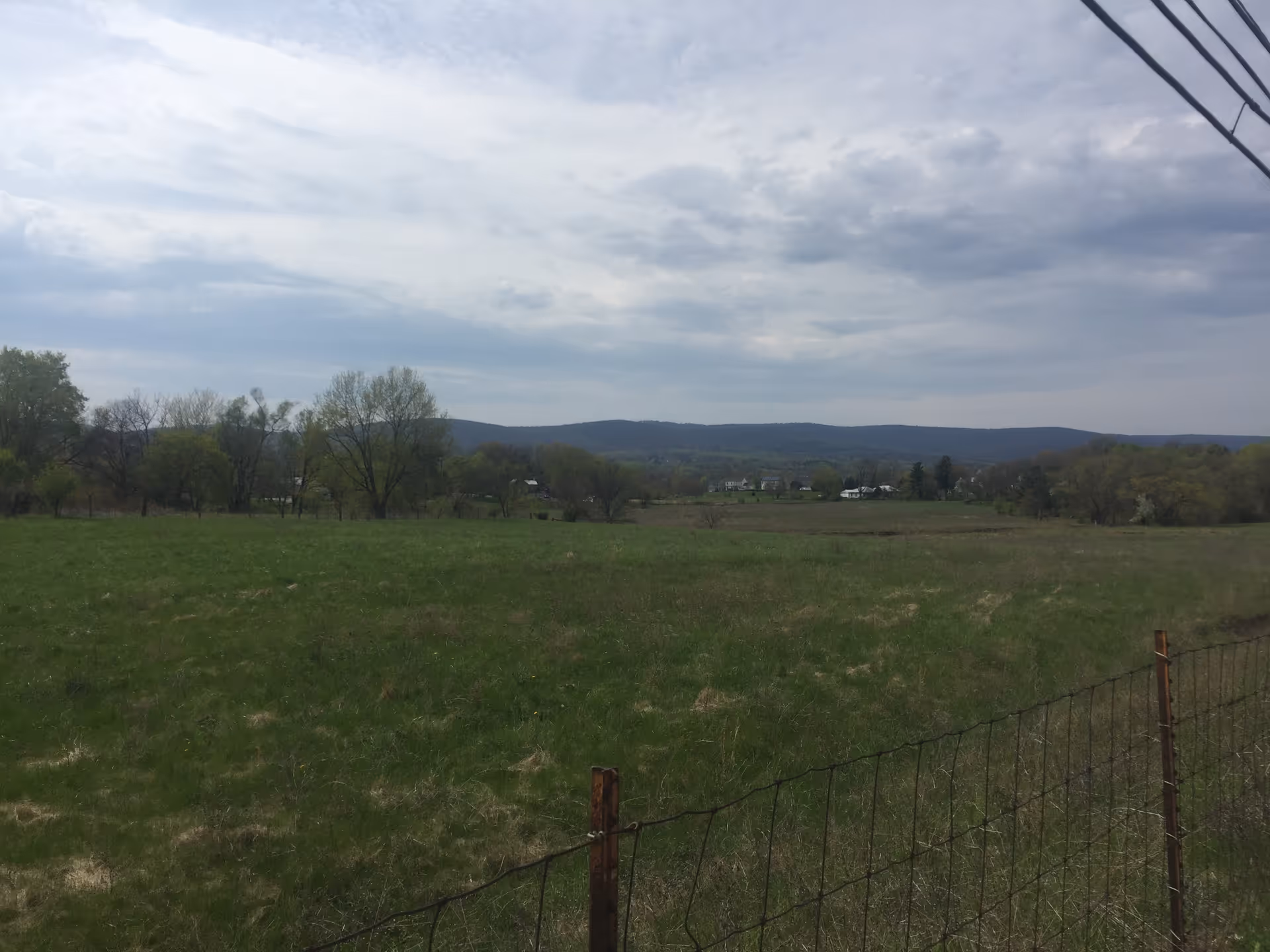 Open grassy field with trees and hills under a cloudy sky.