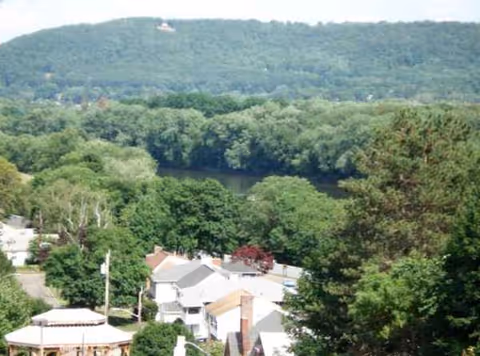 Hilly landscape with dense trees and a small town below on a sunny day.