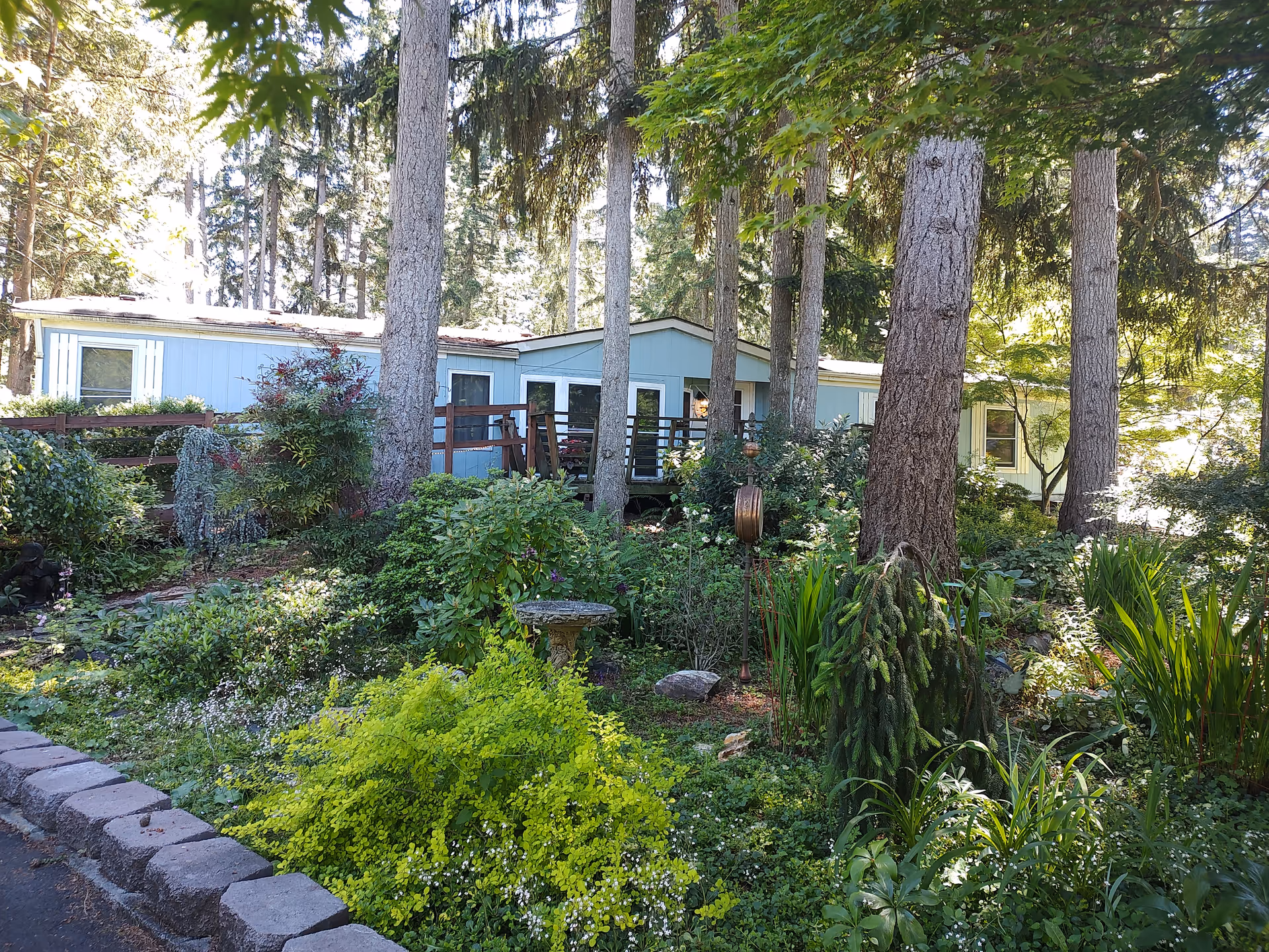Blue manufactured home with a wooden deck among tall trees and a lush garden.