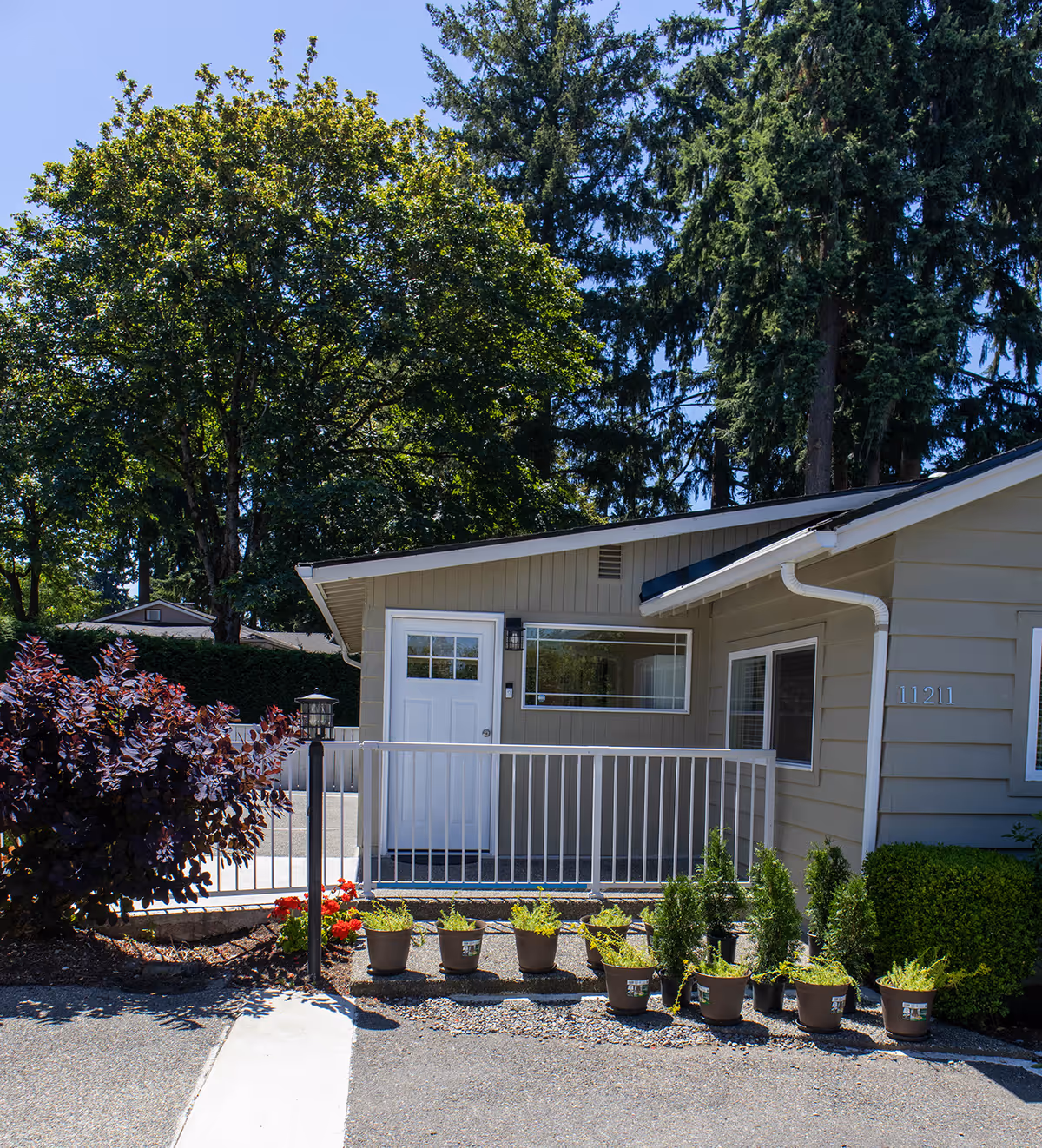 Single-story building front with white door, railing, and row of potted plants.