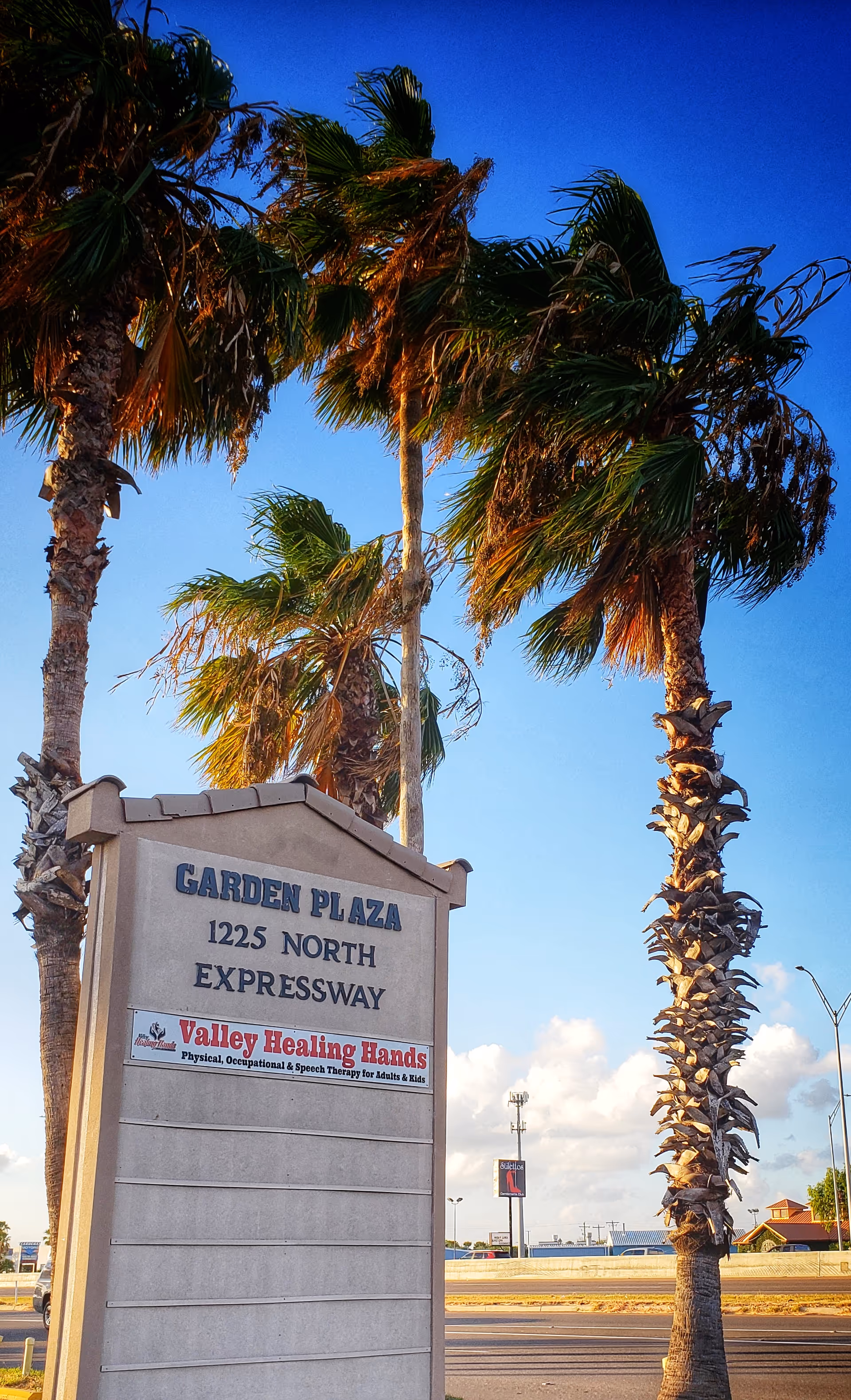 Exterior sign for Valley Healing Hands LLC at Garden Plaza with tall palm trees.
