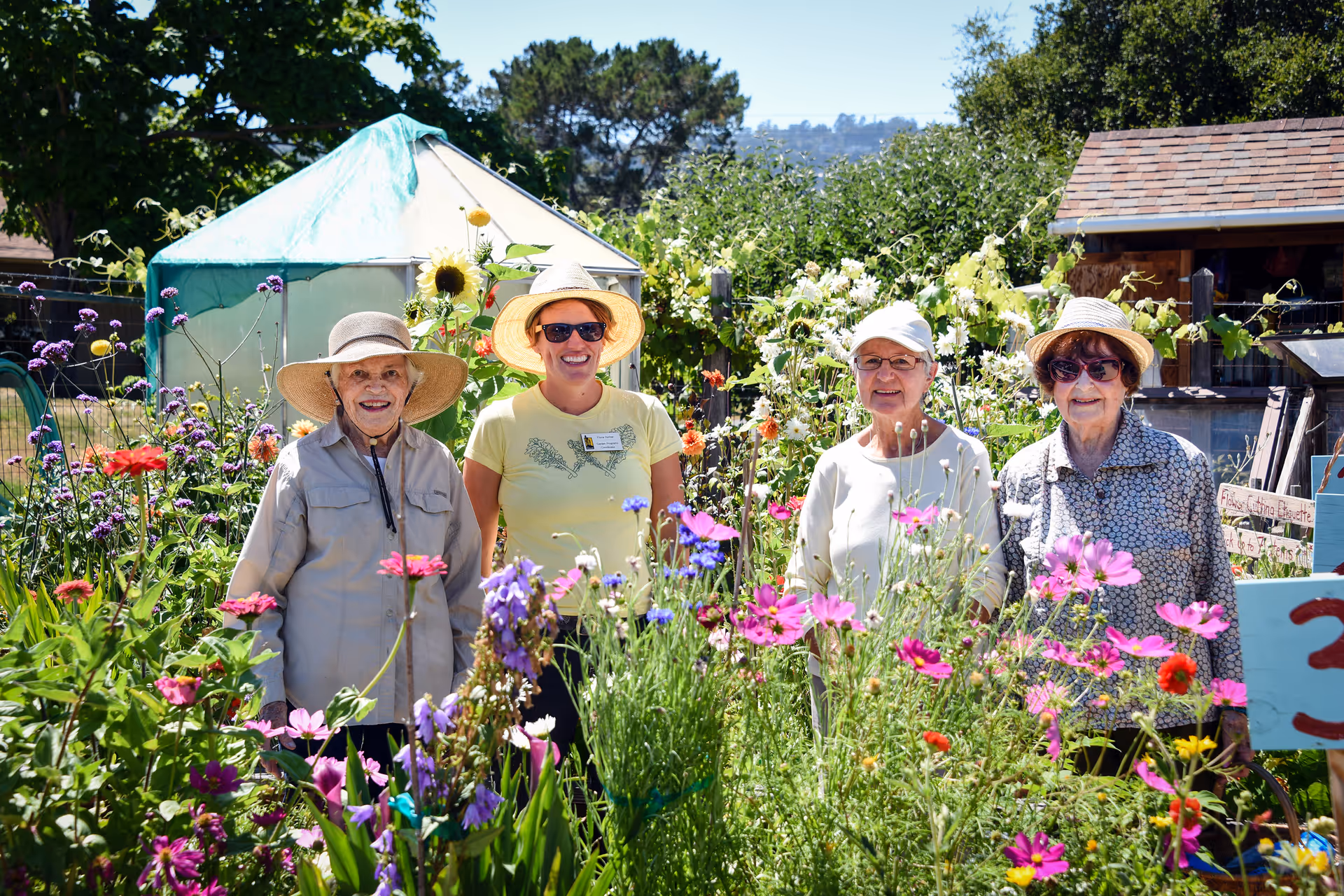 Four elderly women standing in a vibrant garden full of colorful flowers. They are all wearing sun hats and smiling, with greenery and a small greenhouse structure in the background.