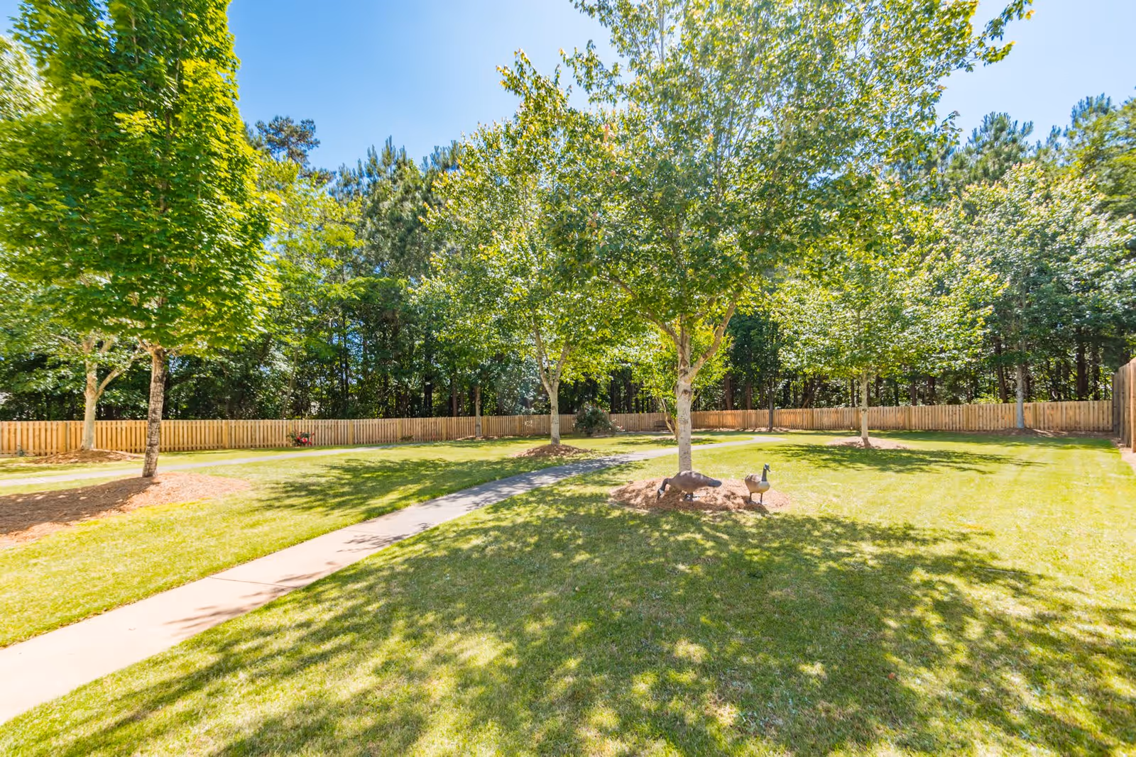A sunny outdoor garden area with a paved walkway, green grass, several trees, and a wooden fence surrounding the space. There are two decorative goose statues near one of the trees.