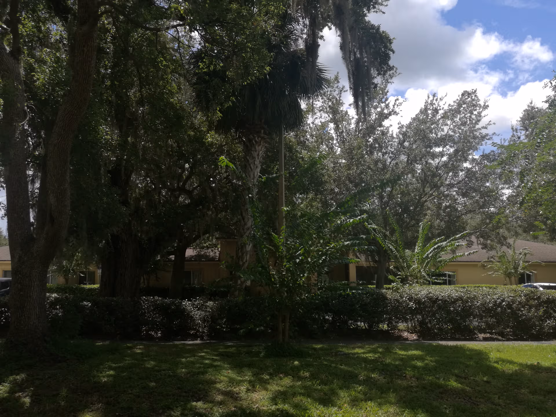 Front exterior of a senior living facility obscured by trees and hedges.
