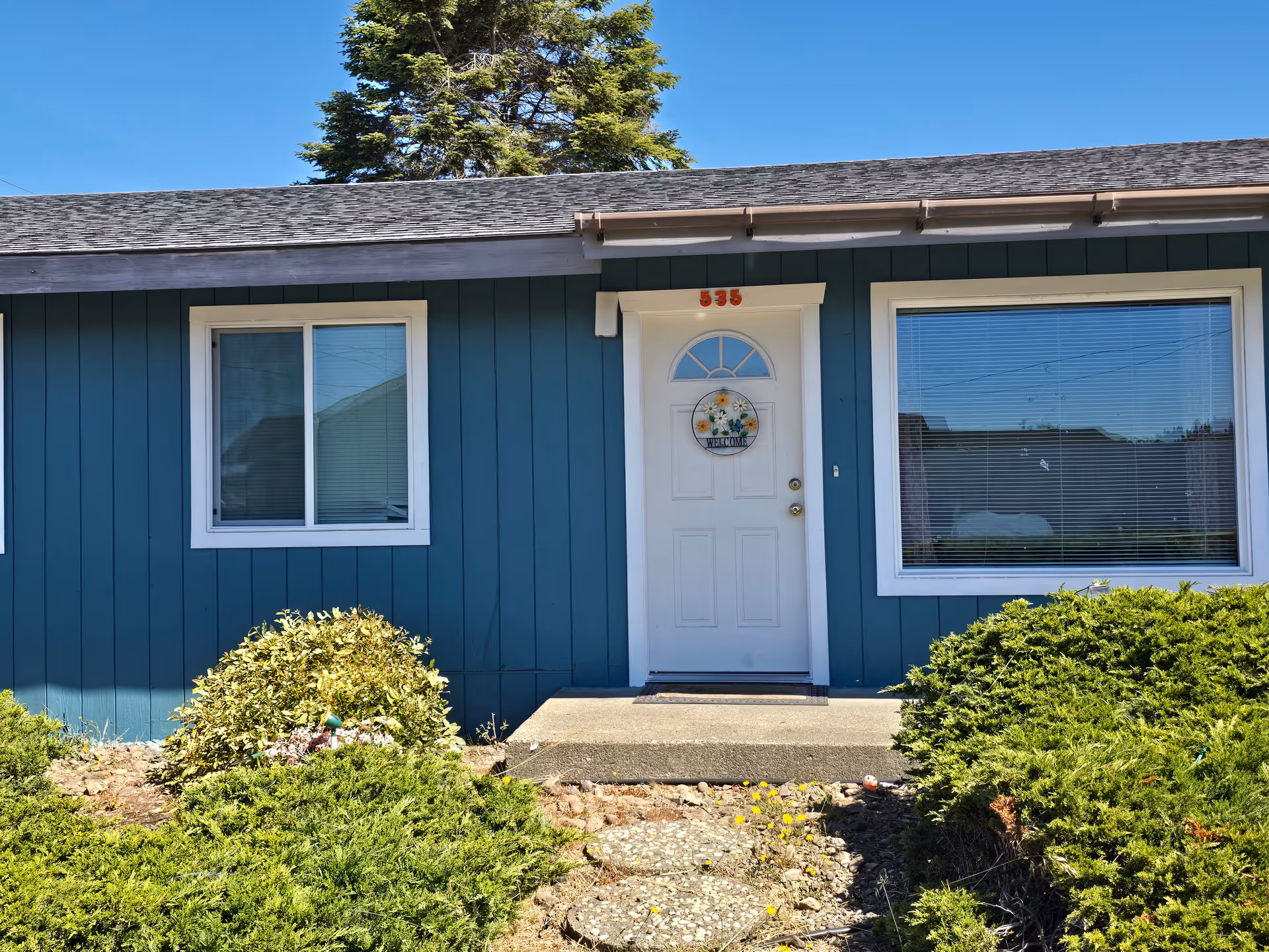 Blue single-story care home exterior with a white door and surrounding shrubs, window, and paved path.