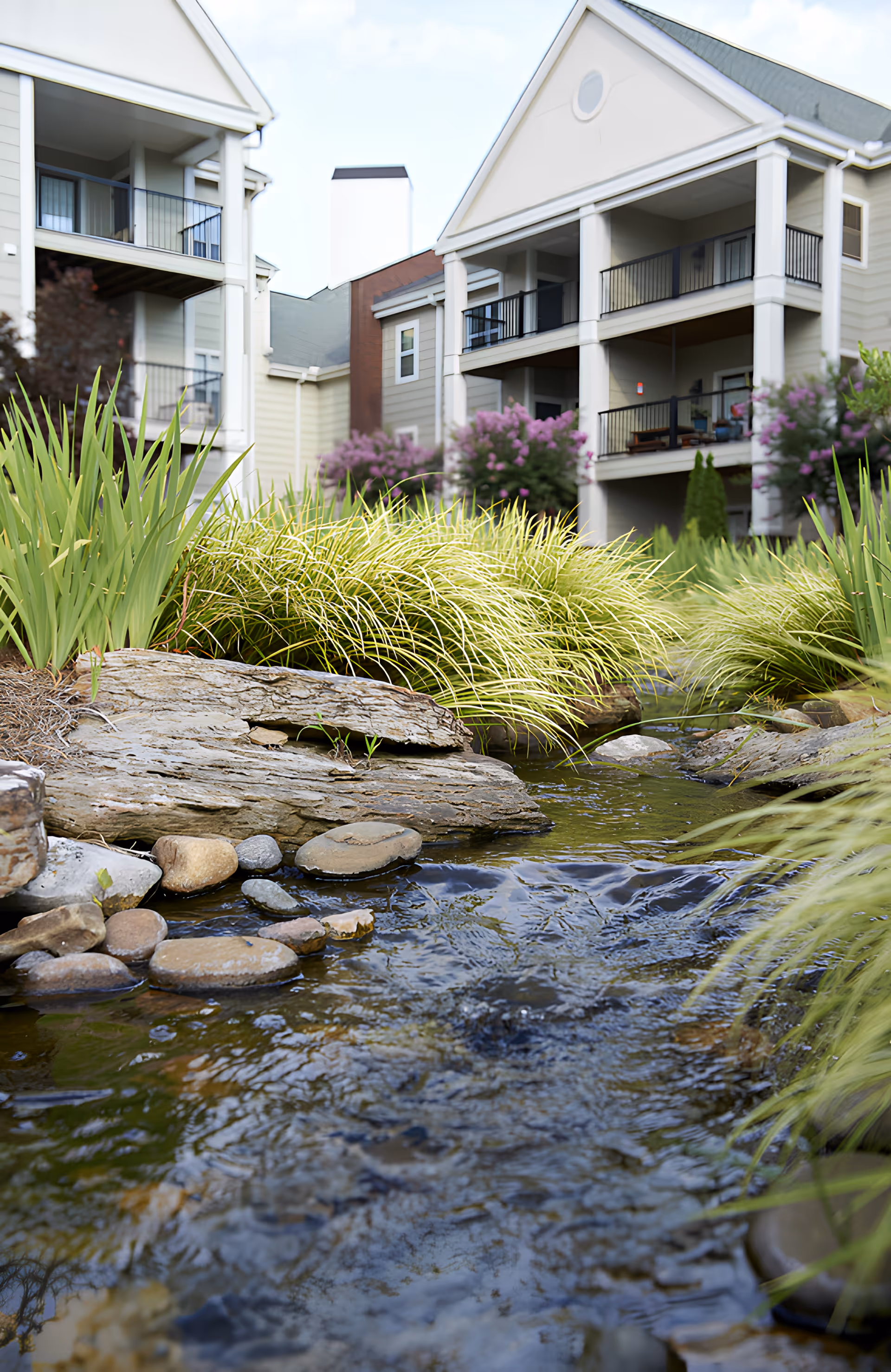 A landscaped stream with rocks and ornamental grasses in front of multi-story apartment-style buildings with covered balconies.