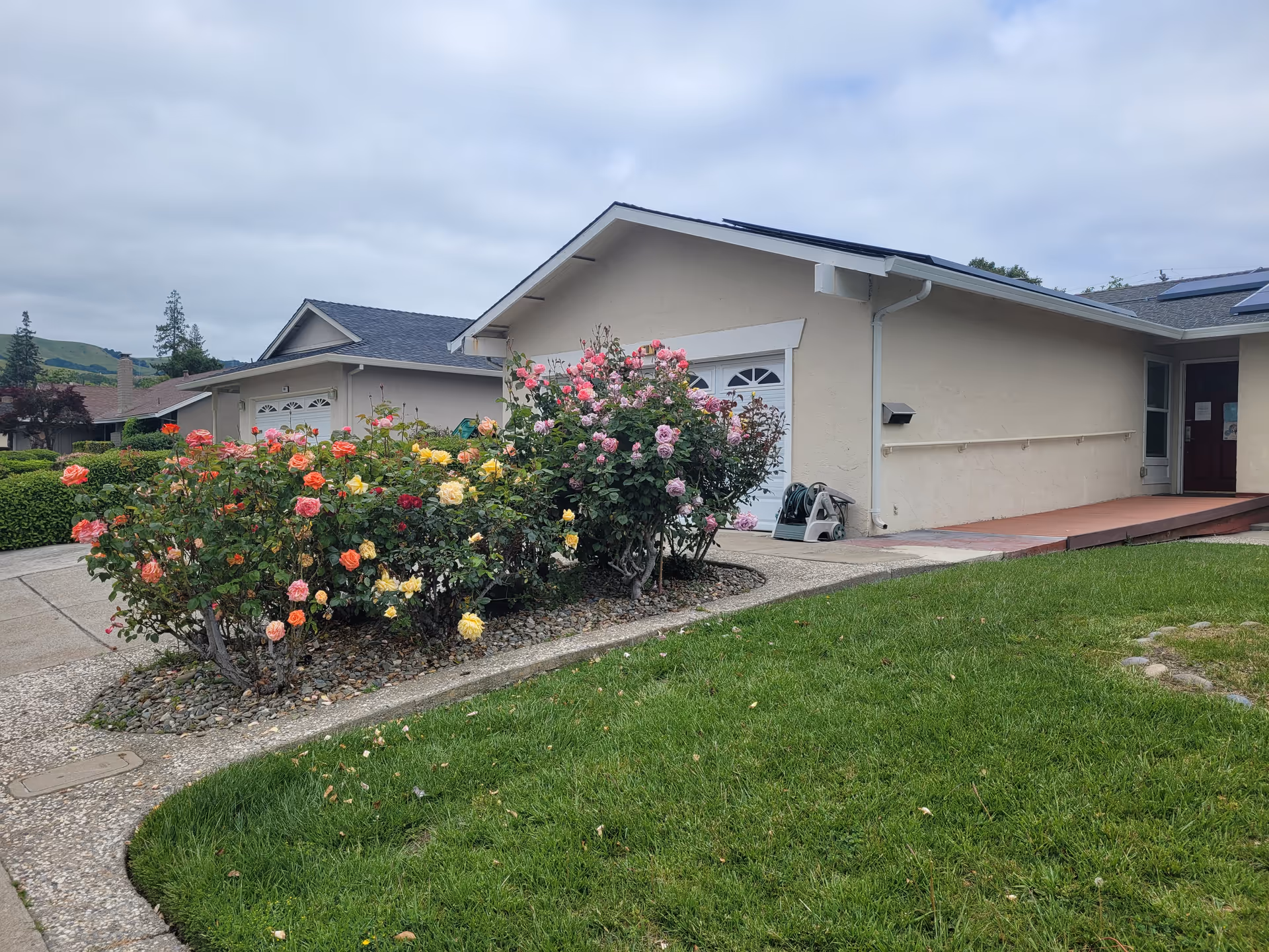 Single-story care home exterior with a rose garden and neatly trimmed lawn.