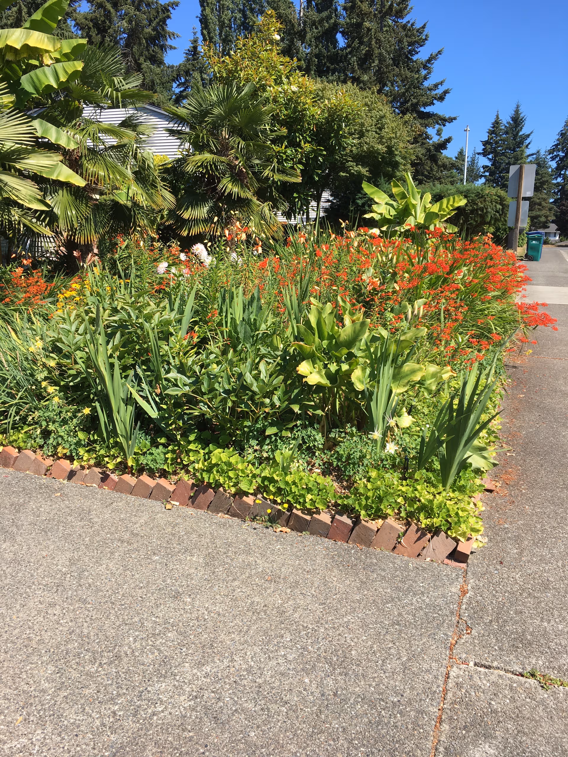 Colorful garden bed along sidewalk outside Yitref Adult Family Home senior facility
